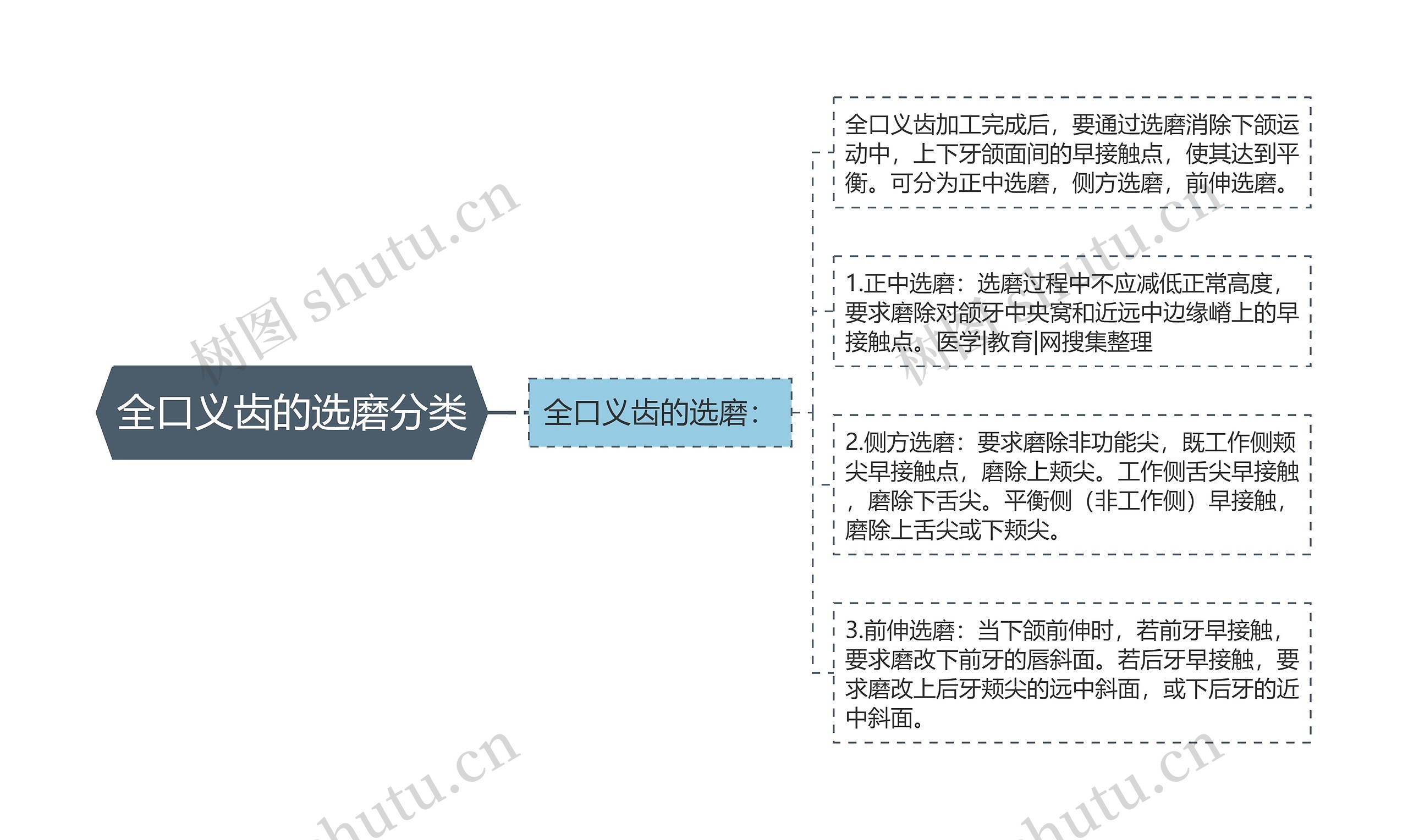 全口义齿的选磨分类