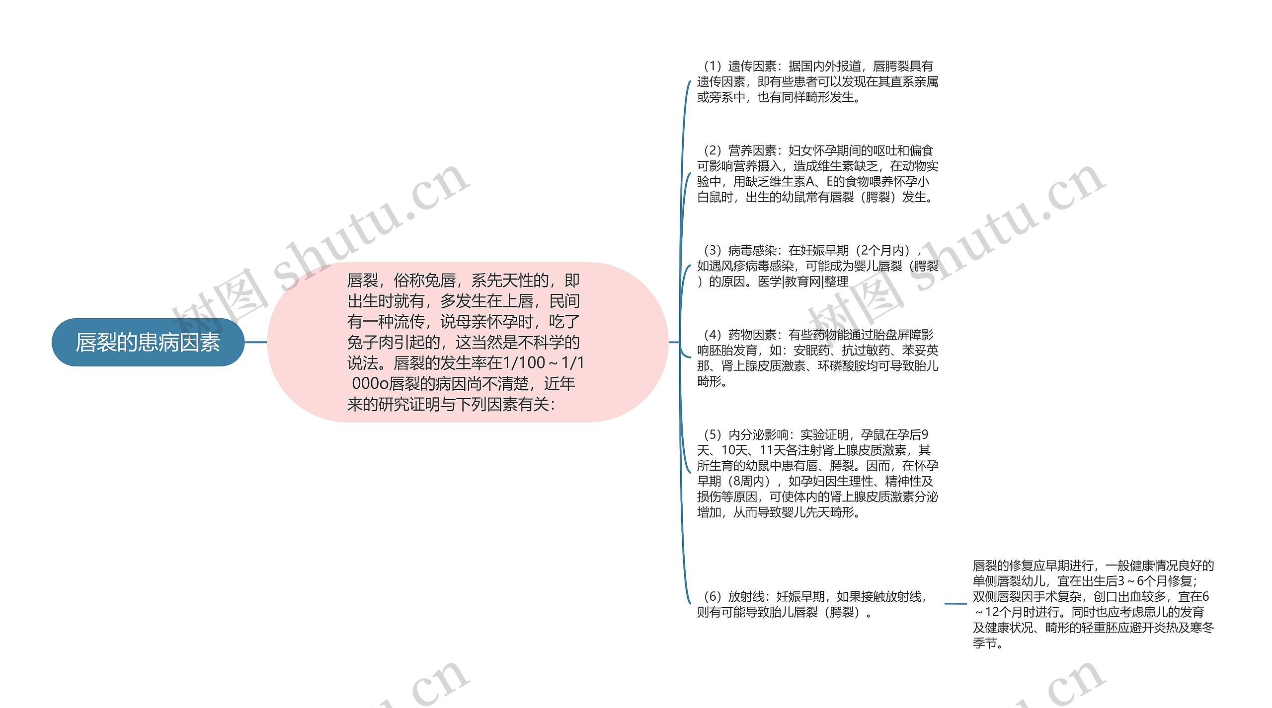 唇裂的患病因素思维导图