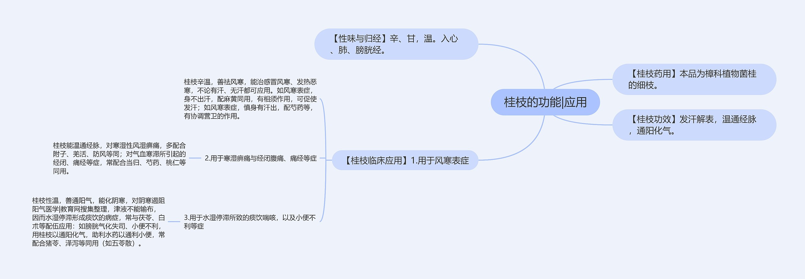 桂枝的功能|应用思维导图