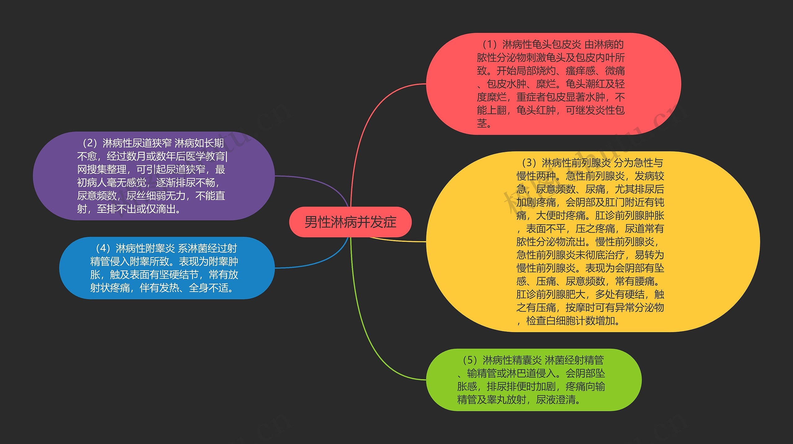 男性淋病并发症思维导图