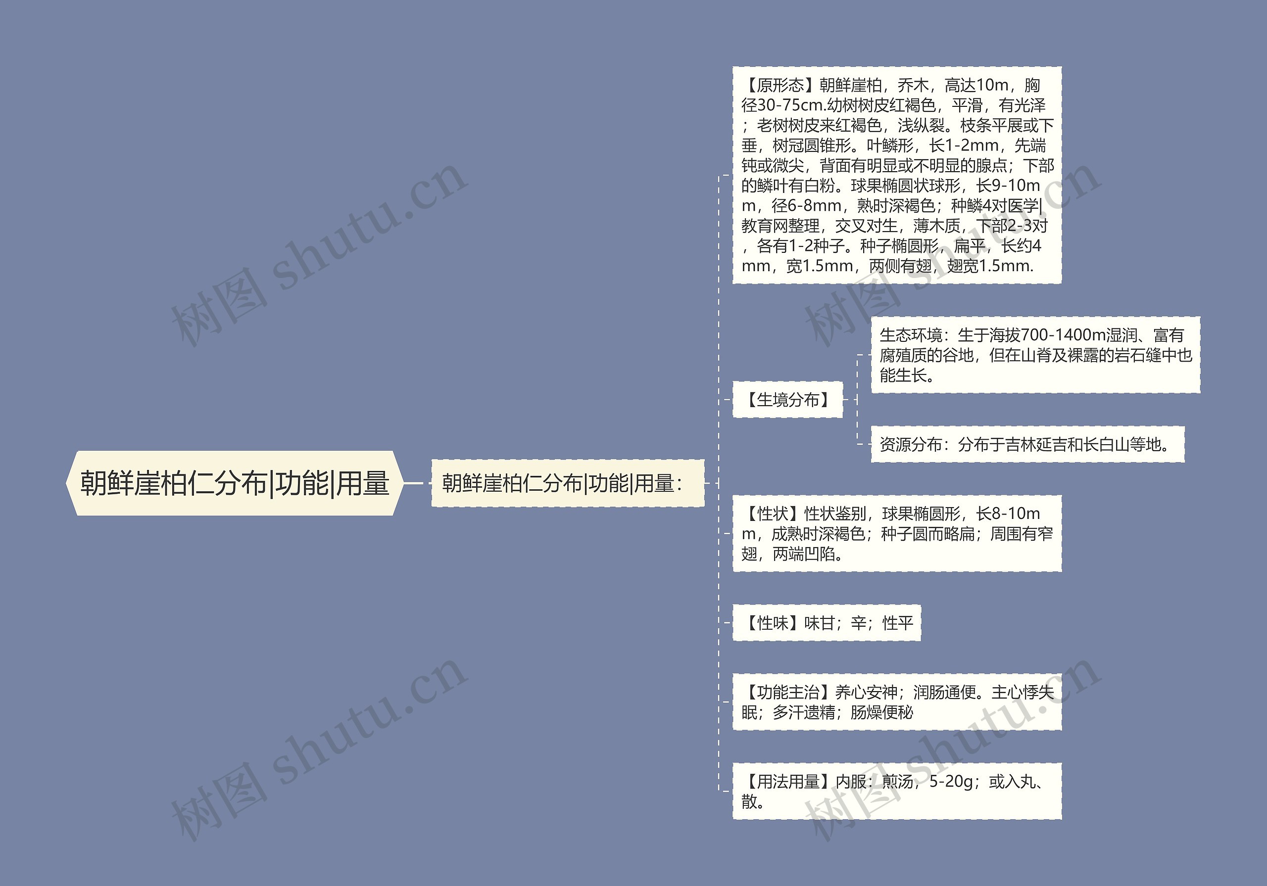 朝鲜崖柏仁分布|功能|用量思维导图