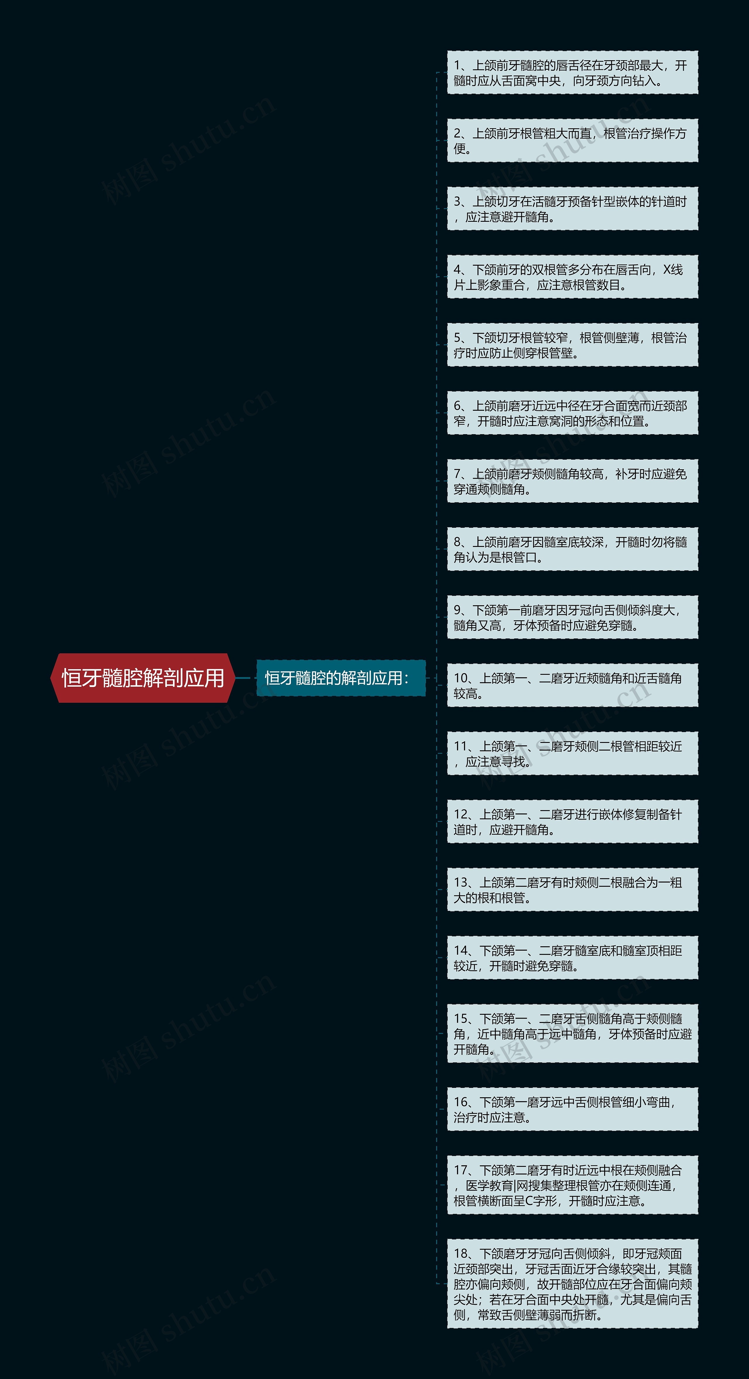 恒牙髓腔解剖应用