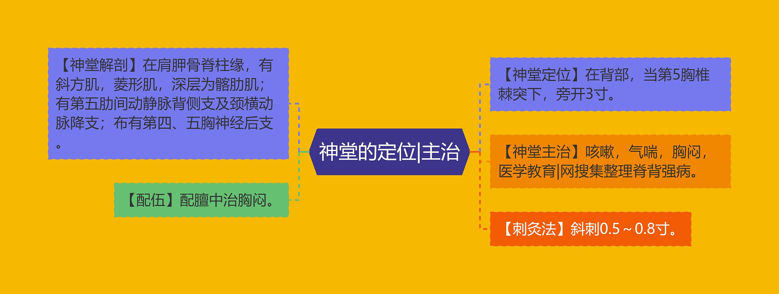 神堂的定位|主治 神堂的定位|主治