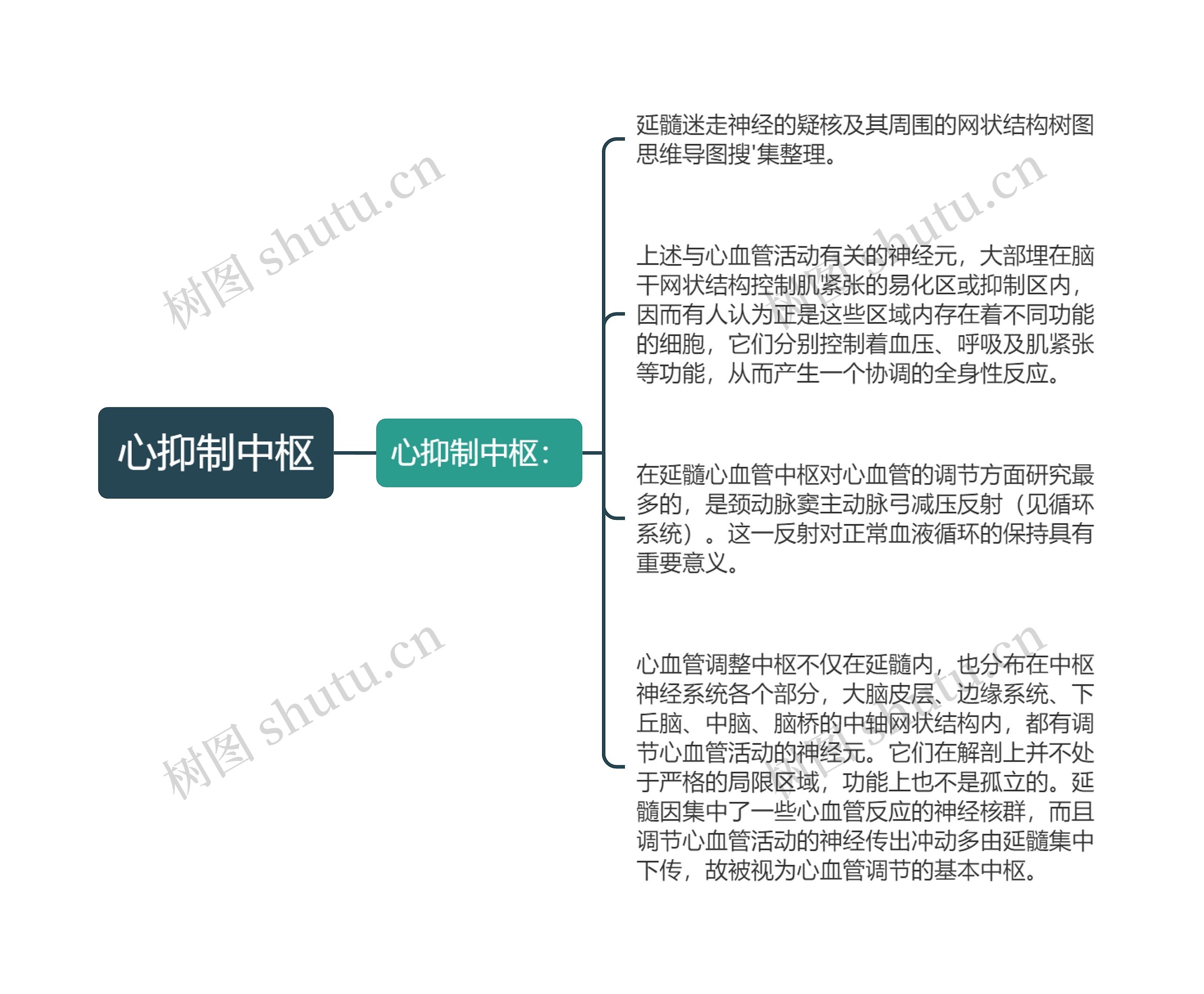 心抑制中枢思维导图