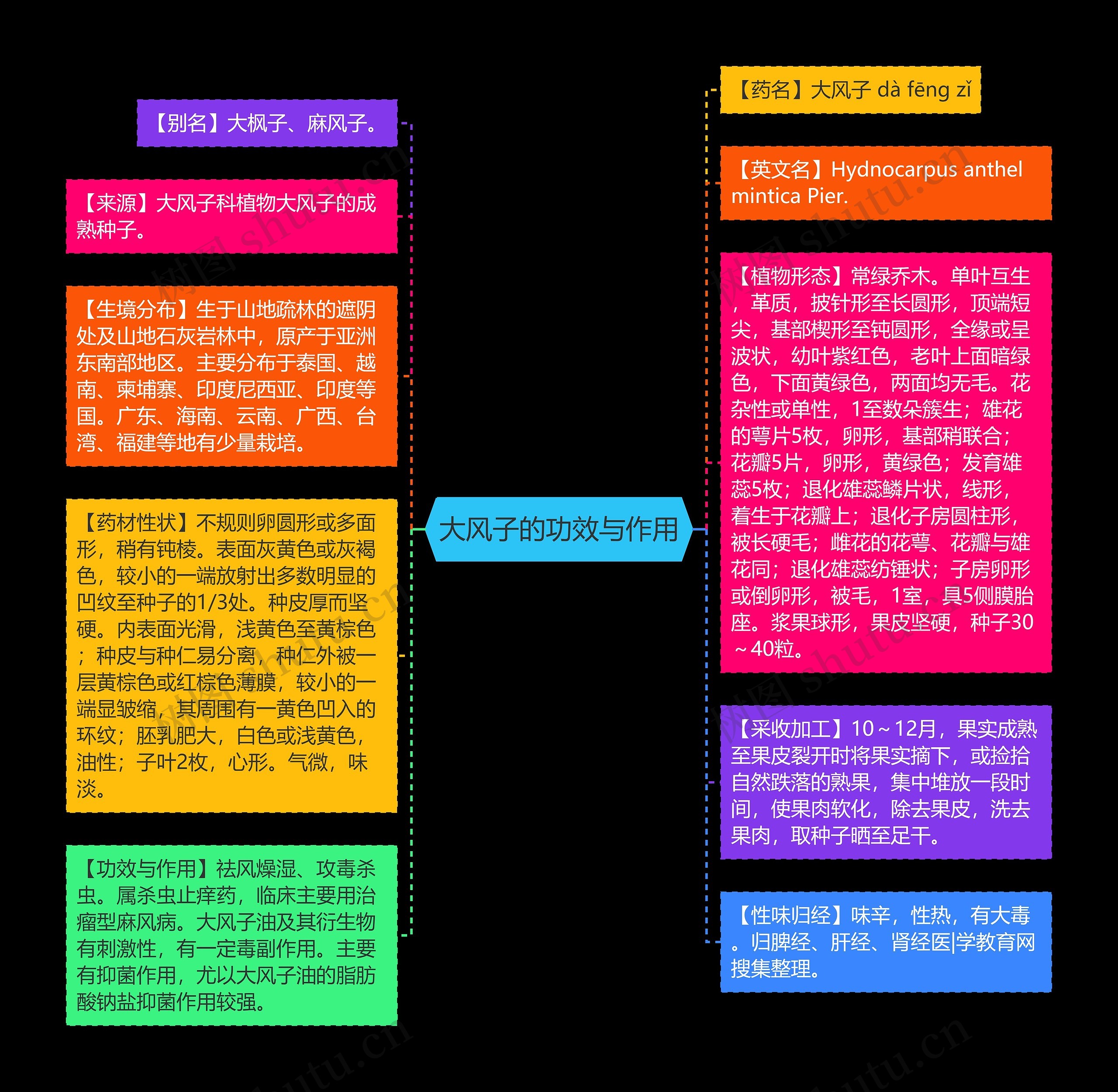 大风子的功效与作用思维导图