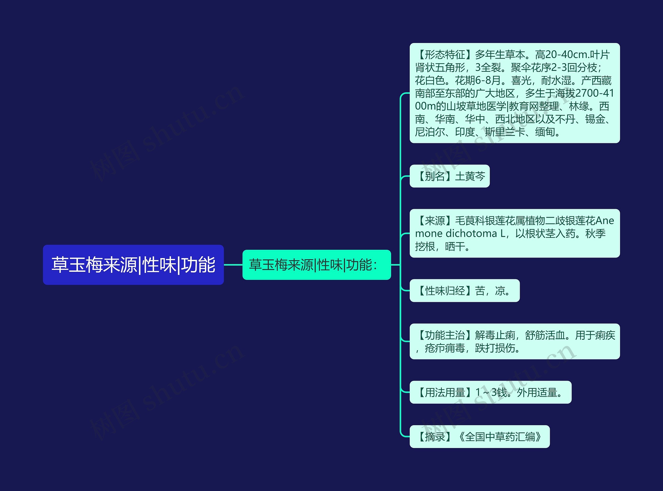 草玉梅来源|性味|功能 草玉梅来源|性味|功能