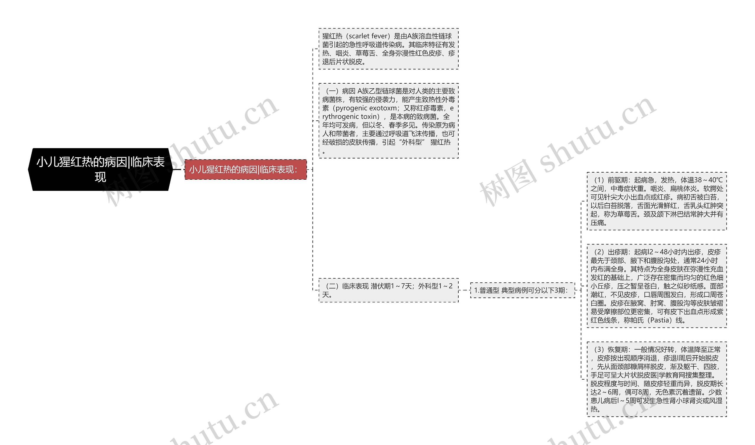 小儿猩红热的病因|临床表现思维导图