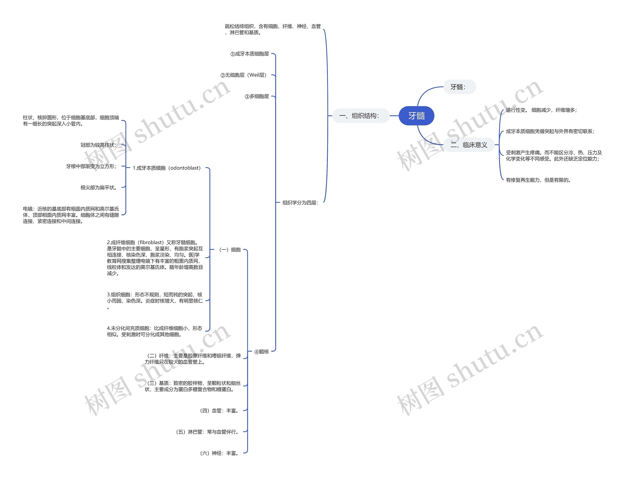 牙髓思维导图