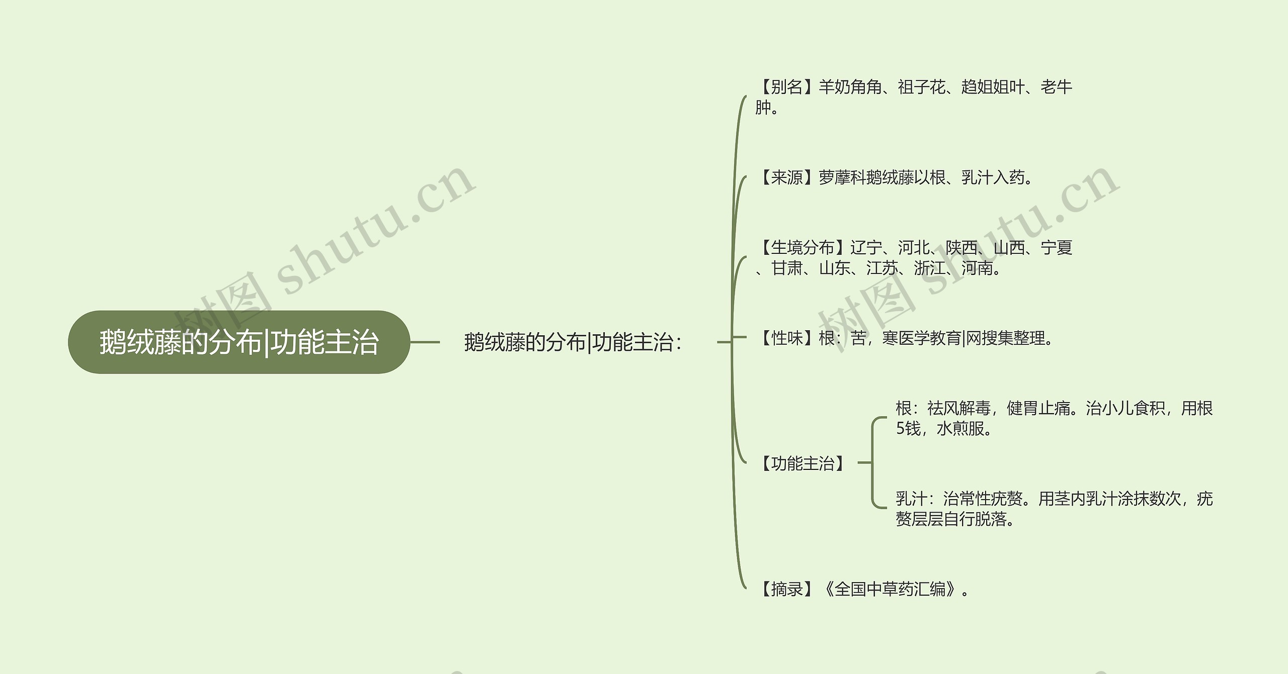 鹅绒藤的分布|功能主治思维导图