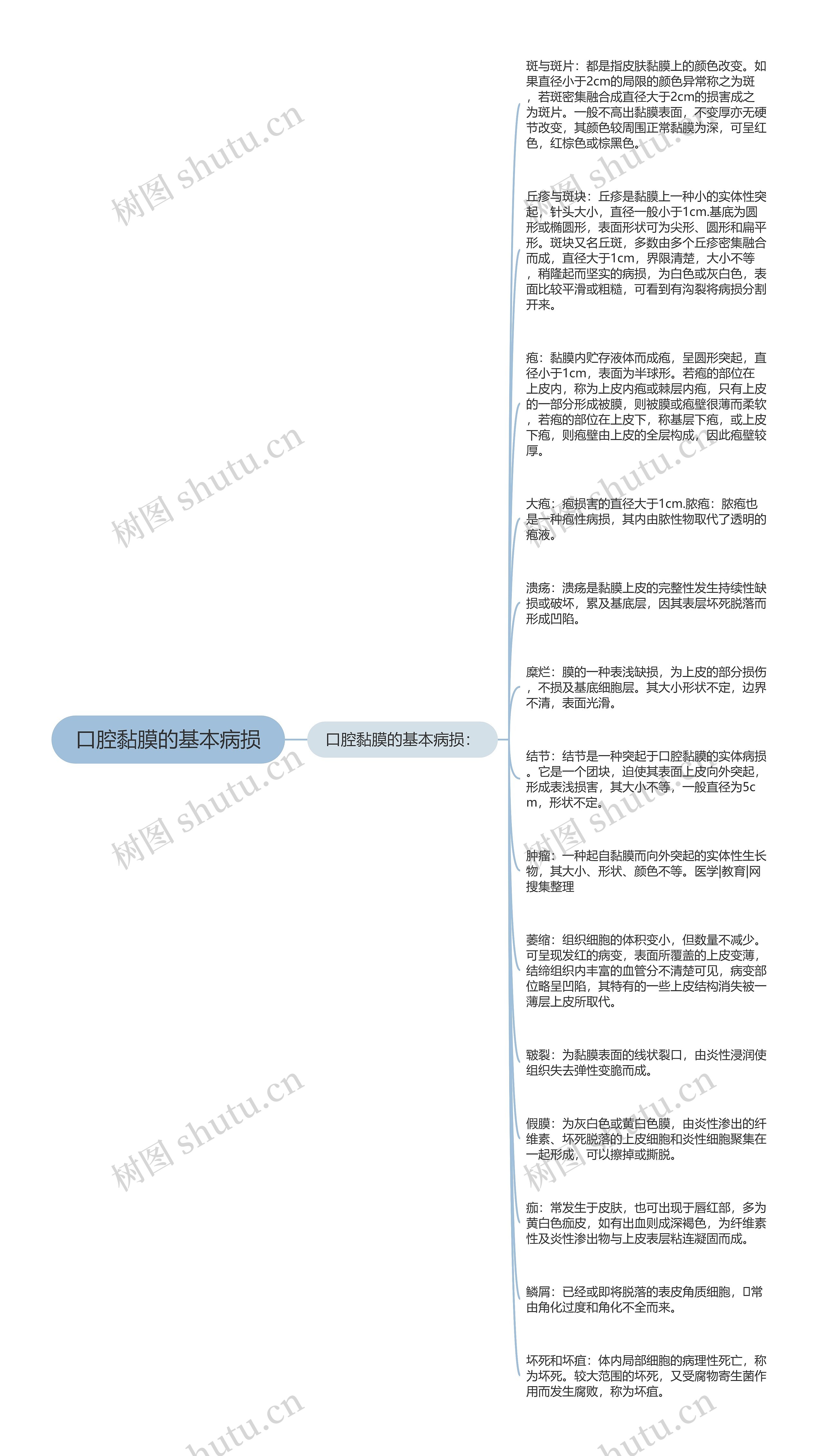 口腔黏膜的基本病损思维导图