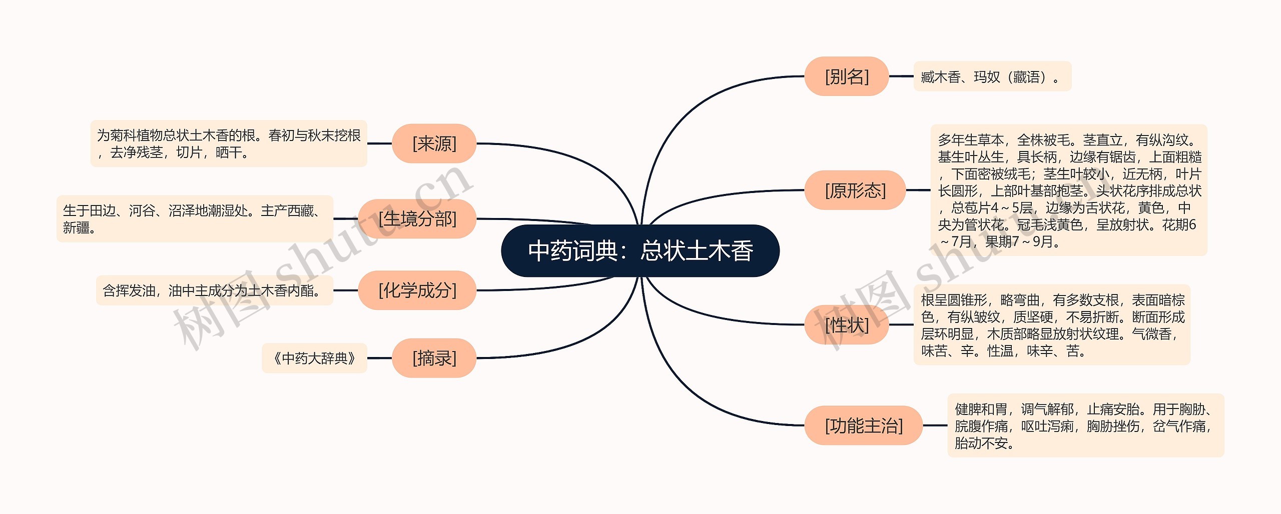 中药词典：总状土木香思维导图