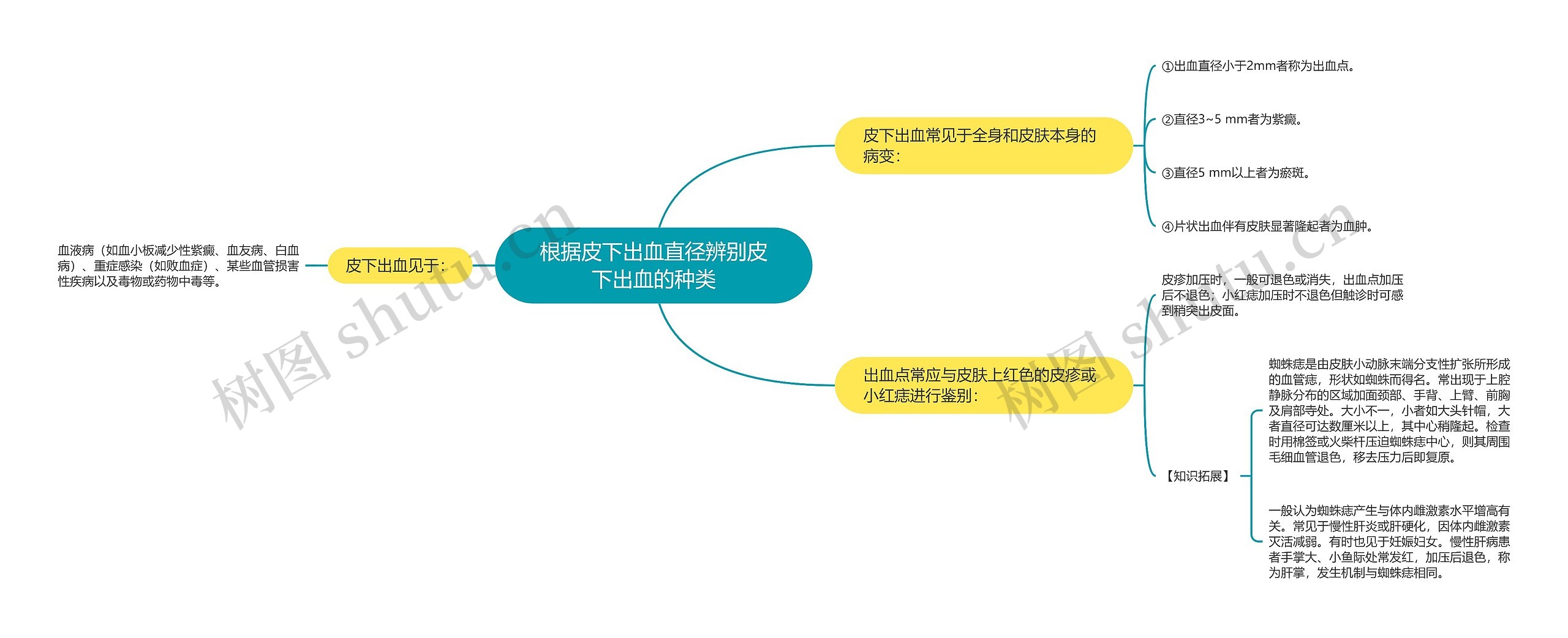 根据皮下出血直径辨别皮下出血的种类