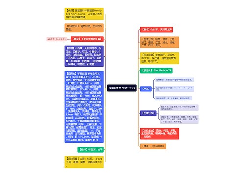 半蒴苣苔性状|主治