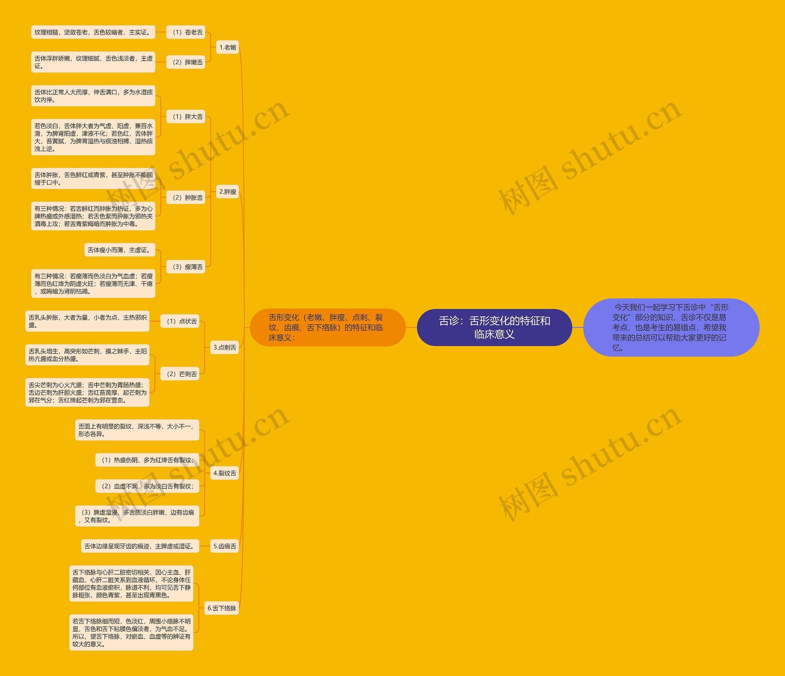 舌诊：舌形变化的特征和临床意义思维导图