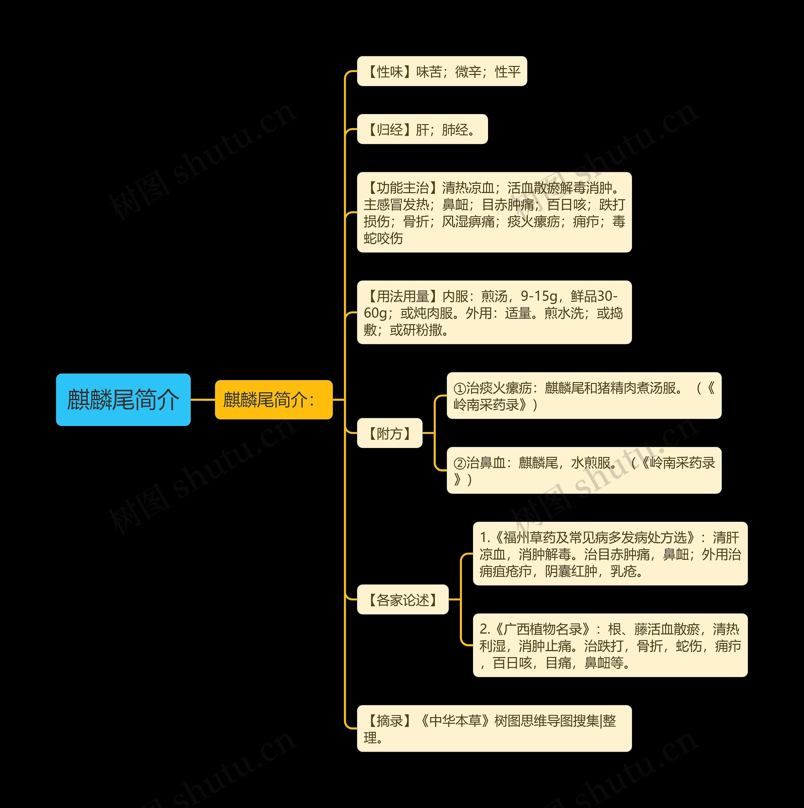 麒麟尾简介 麒麟尾简介