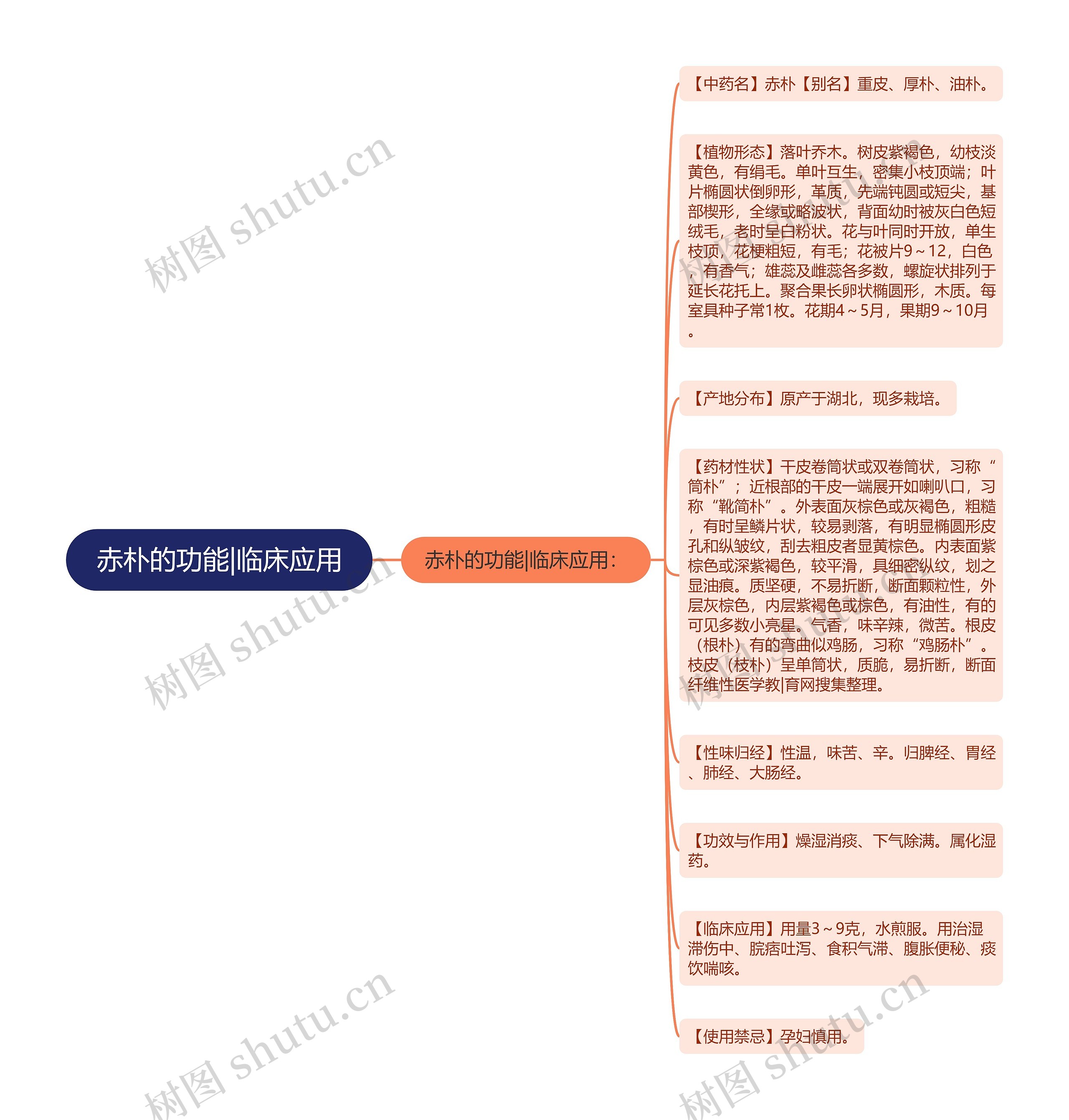 赤朴的功能|临床应用思维导图