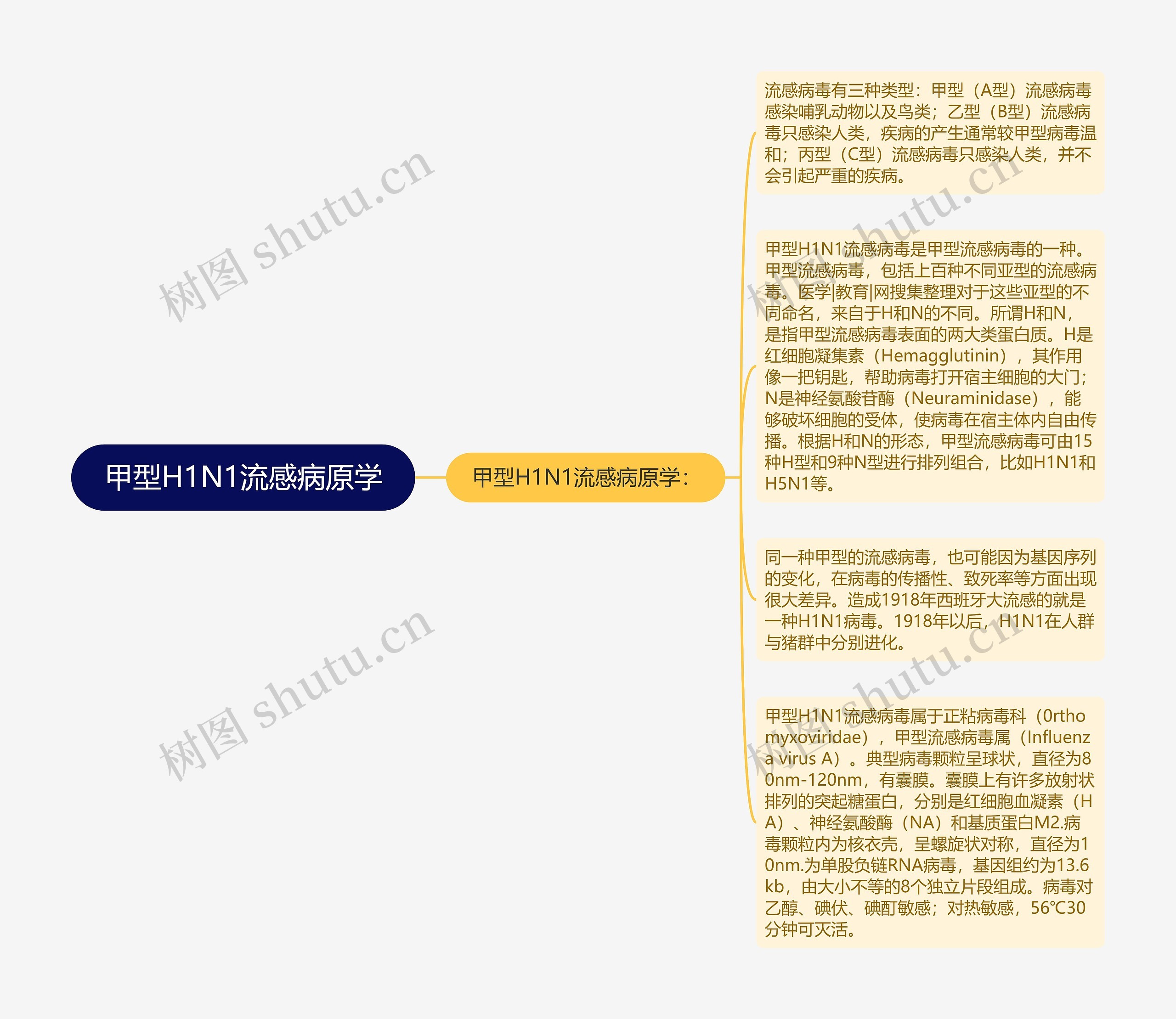 甲型H1N1流感病原学思维导图