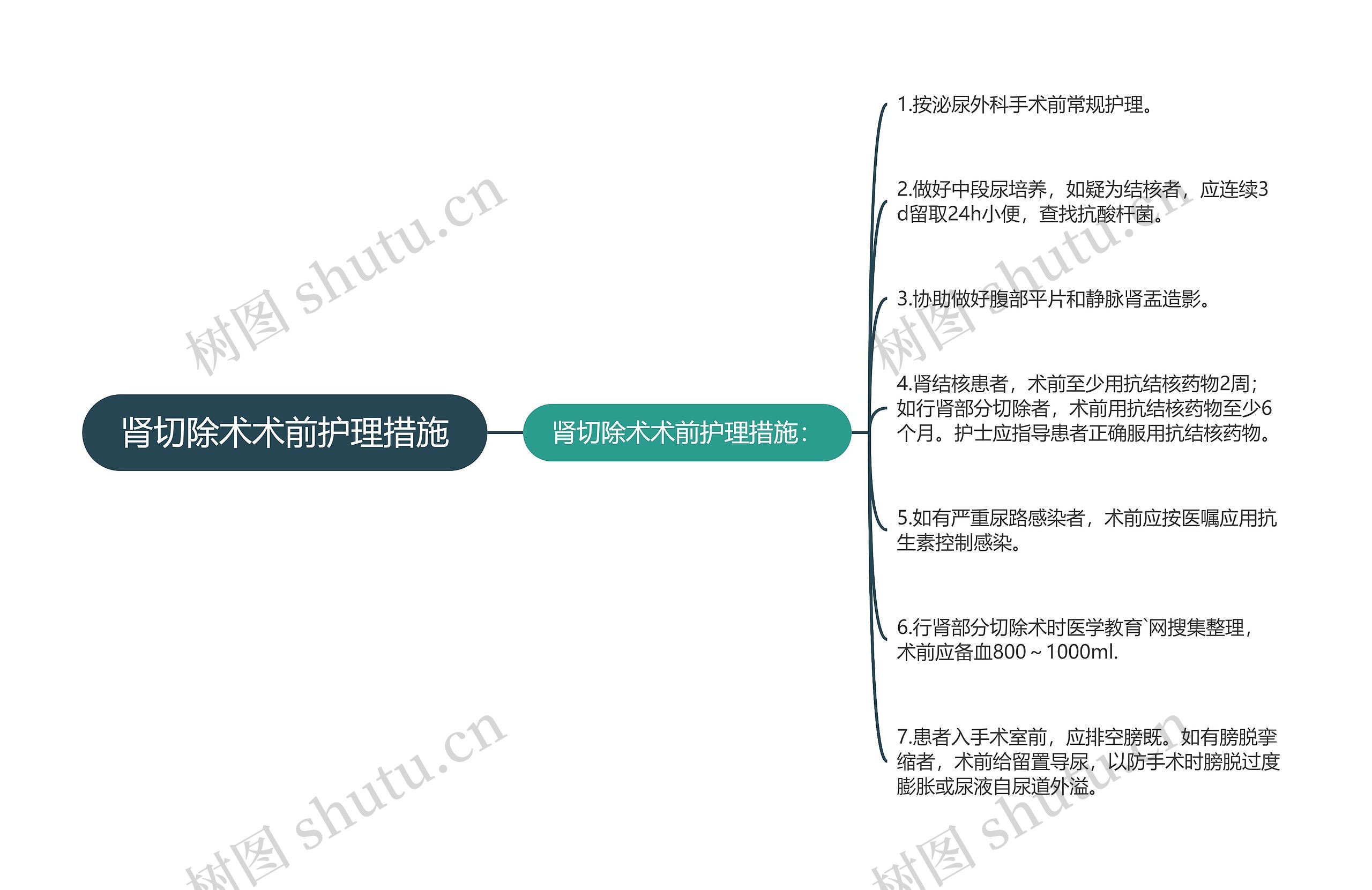 肾切除术术前护理措施思维导图