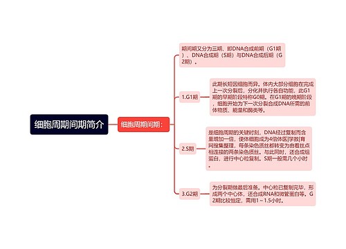 细胞周期间期简介