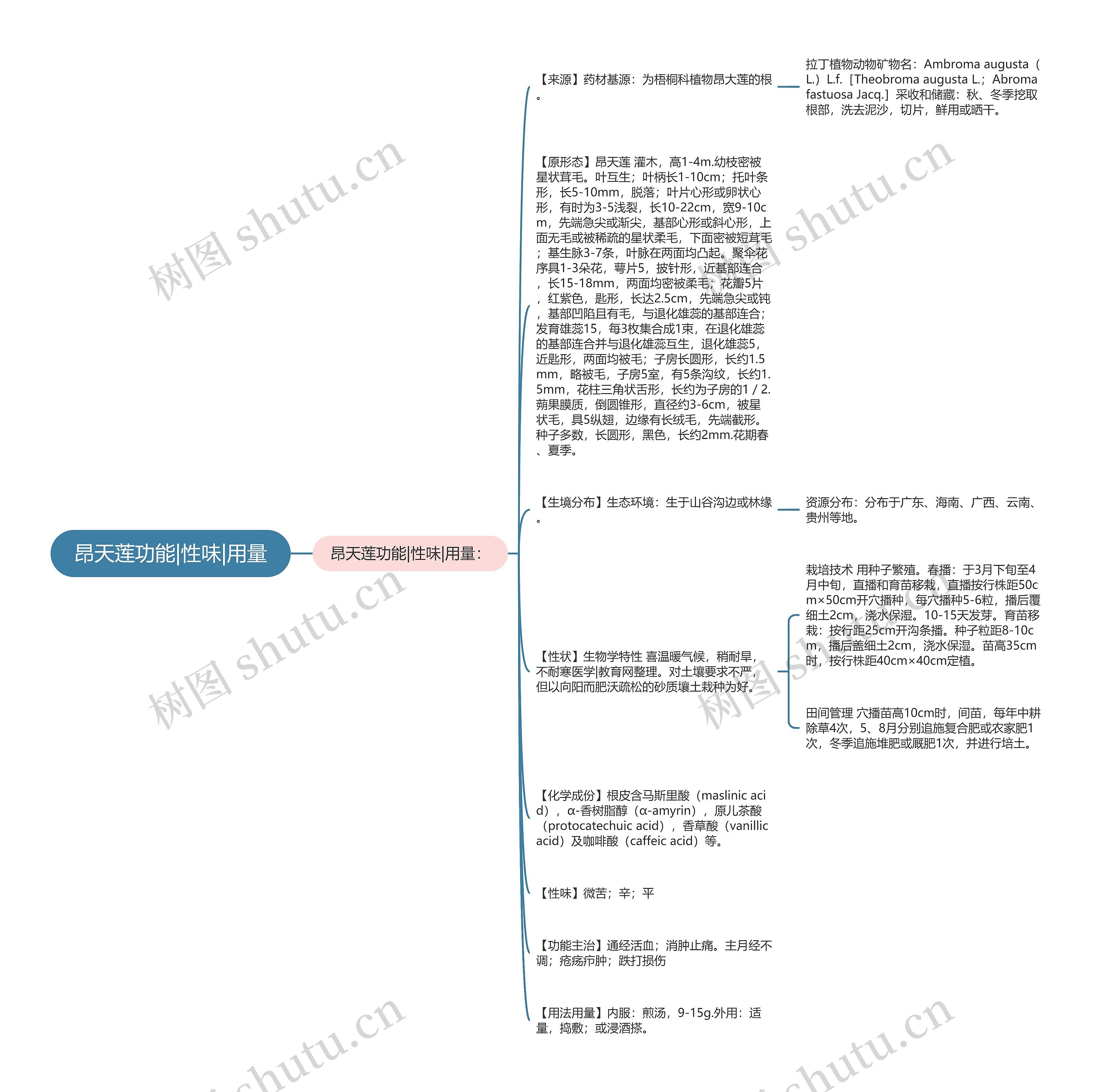 昂天莲功能|性味|用量思维导图
