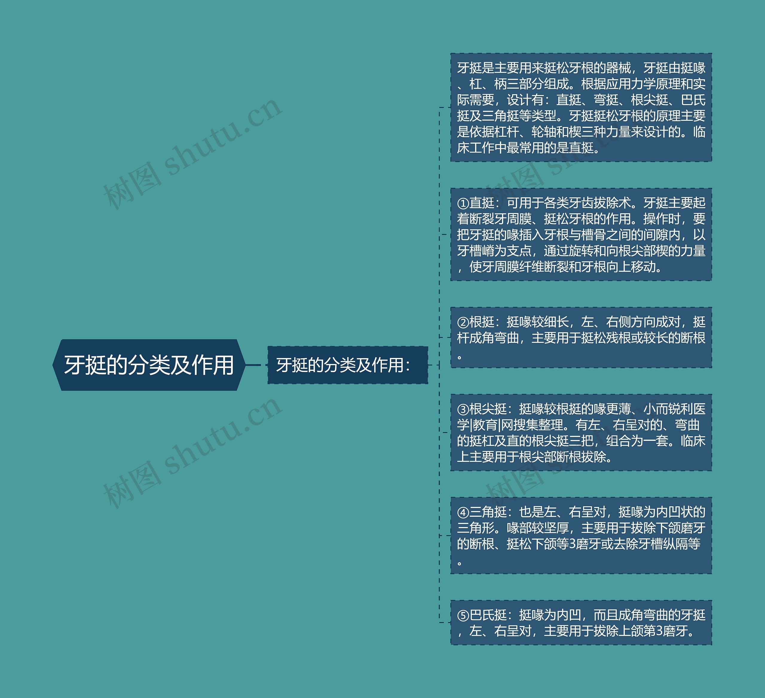 牙挺的分类及作用 牙挺的分类及作用