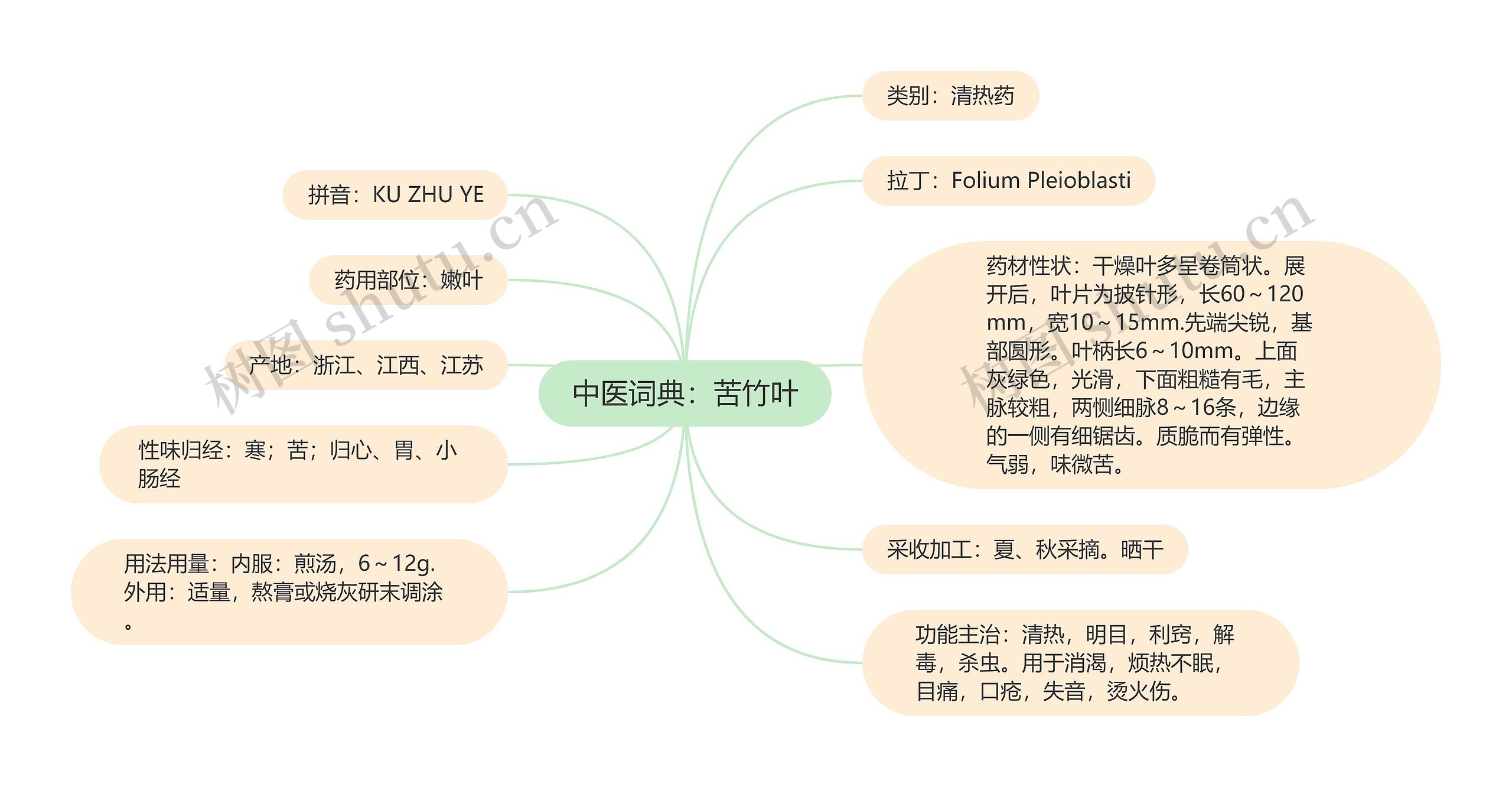 中医词典：苦竹叶思维导图