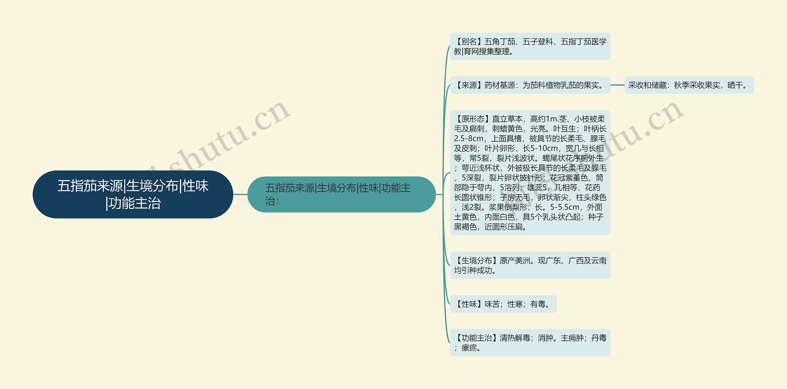 五指茄来源|生境分布|性味|功能主治思维导图