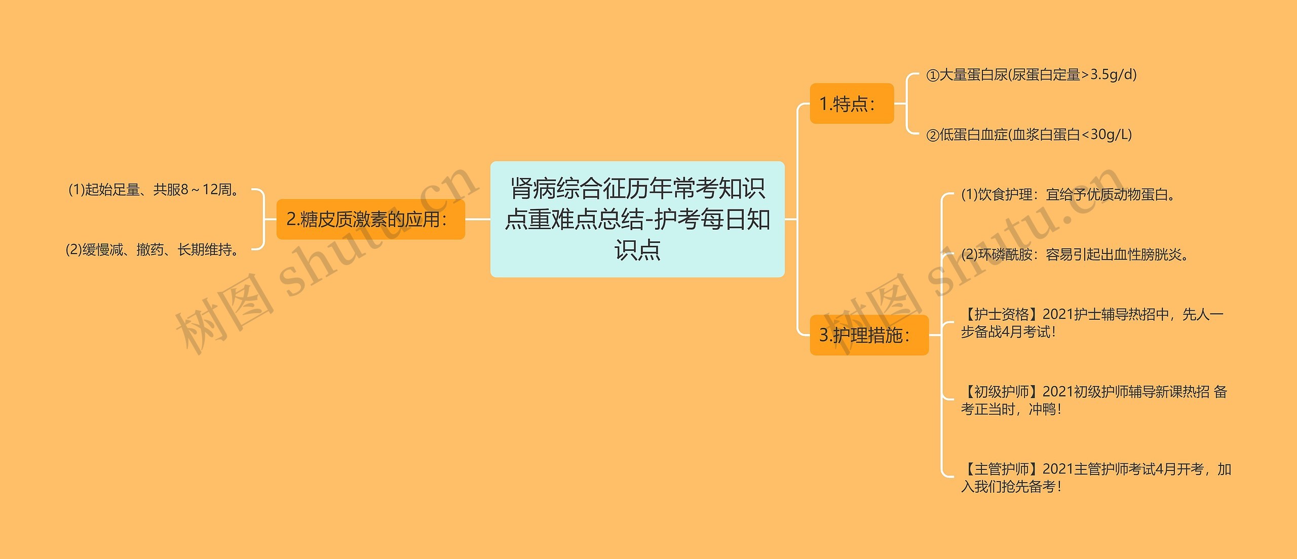 肾病综合征历年常考知识点重难点总结-护考每日知识点思维导图