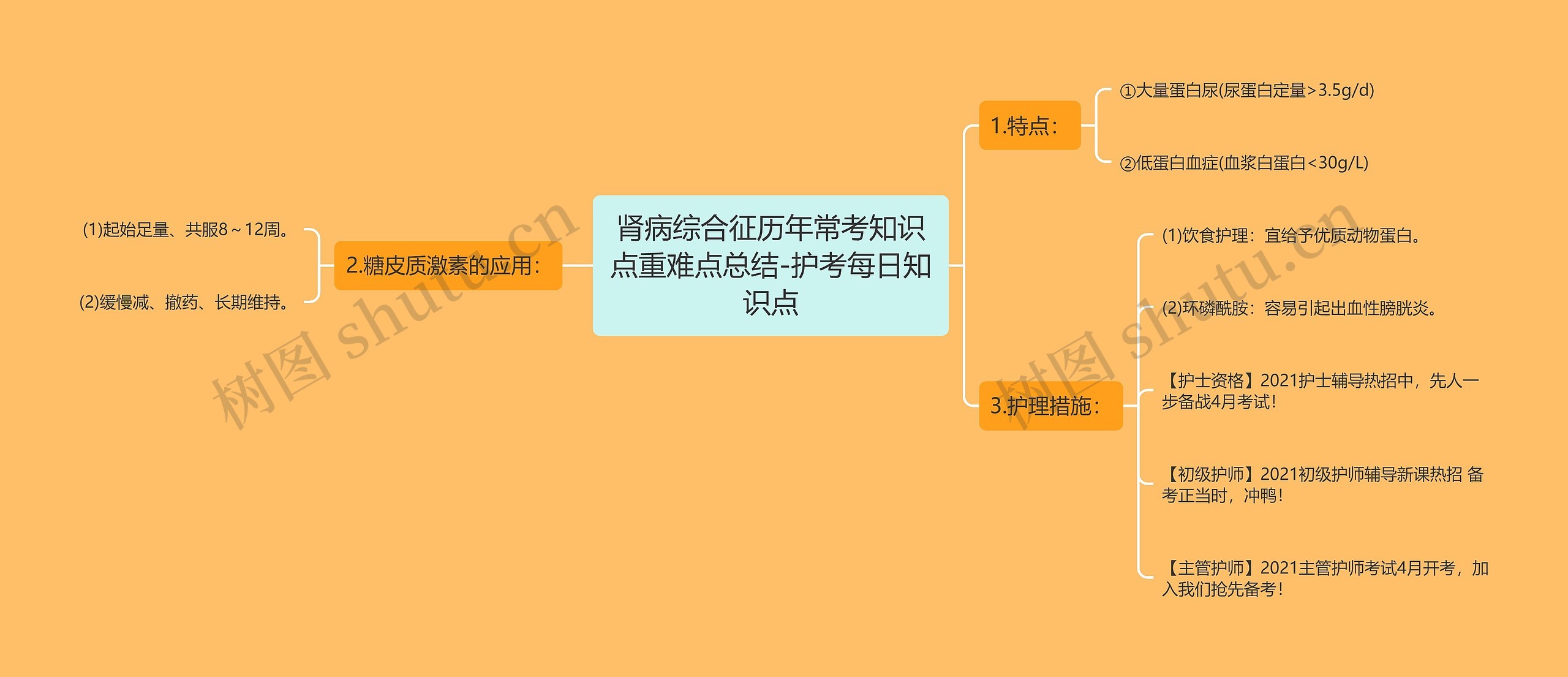 肾病综合征历年常考知识点重难点总结-护考每日知识点 肾病综合征历年常考知识点重难点总结-护考每日知识点