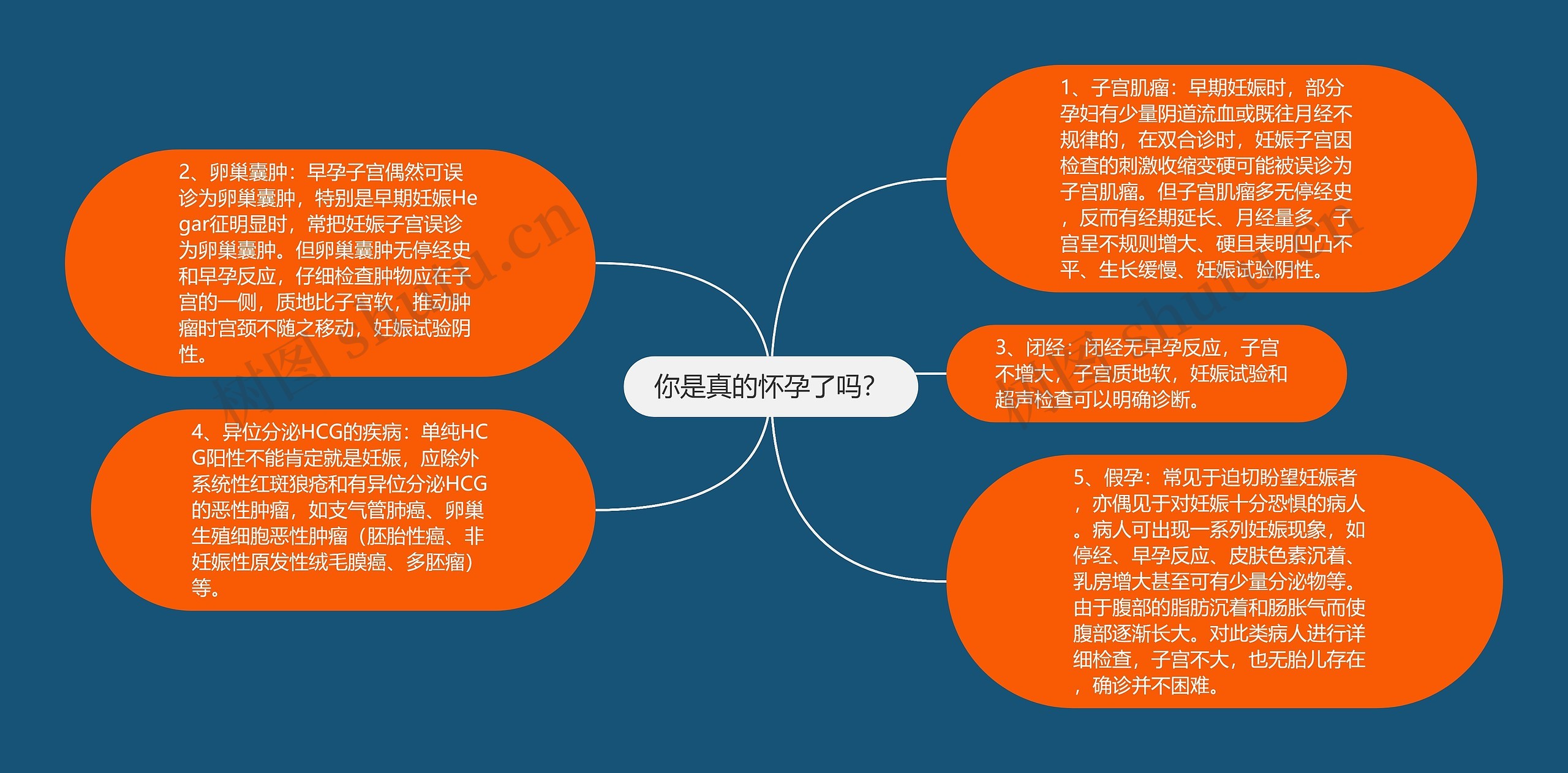 你是真的怀孕了吗？思维导图