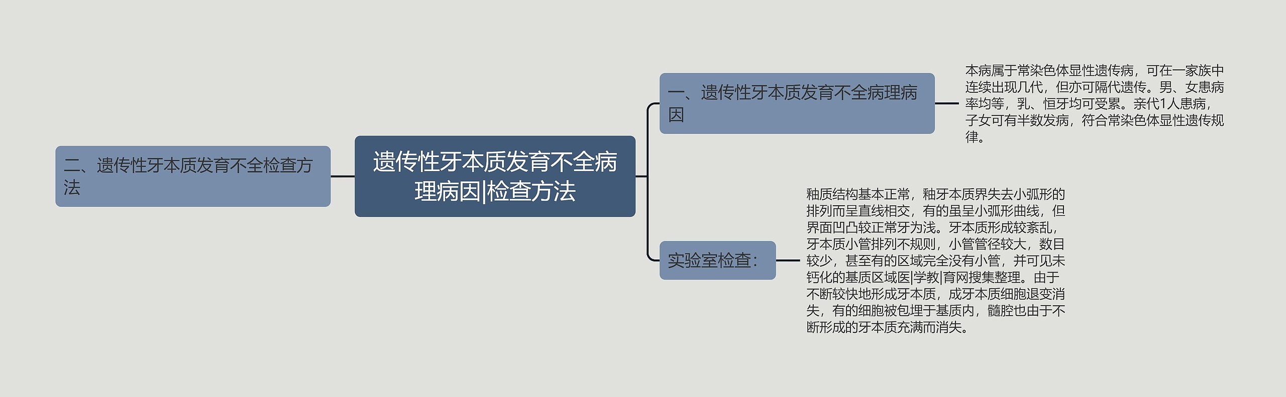 遗传性牙本质发育不全病理病因|检查方法