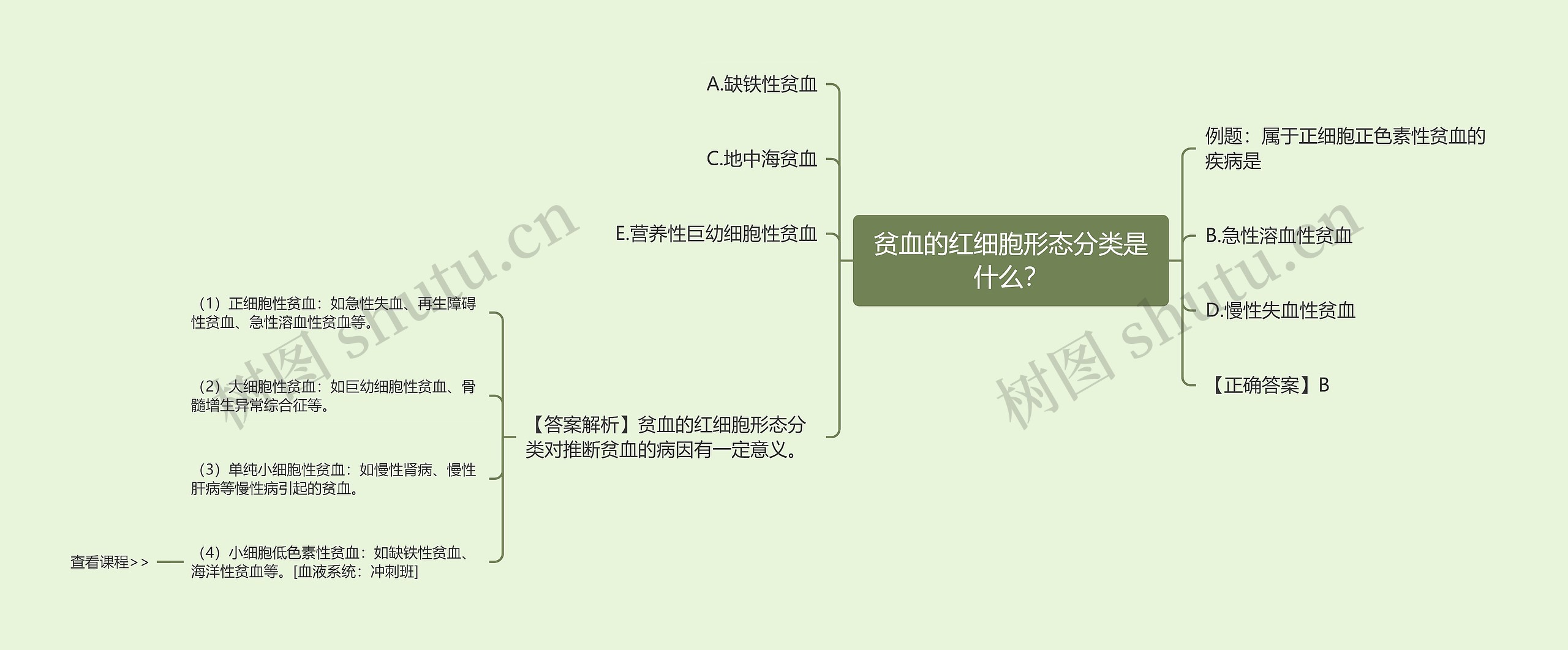 贫血的红细胞形态分类是什么? 贫血的红细胞形态分类是什么?