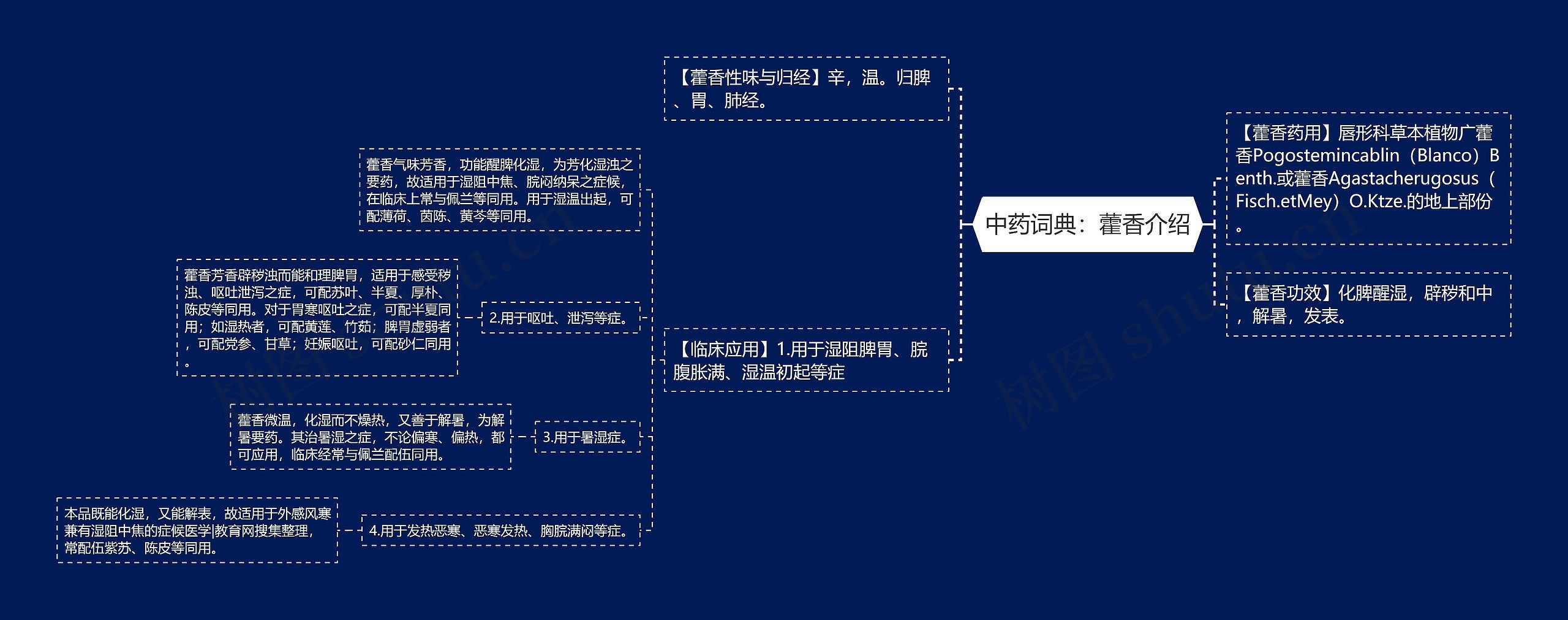 中药词典：藿香介绍