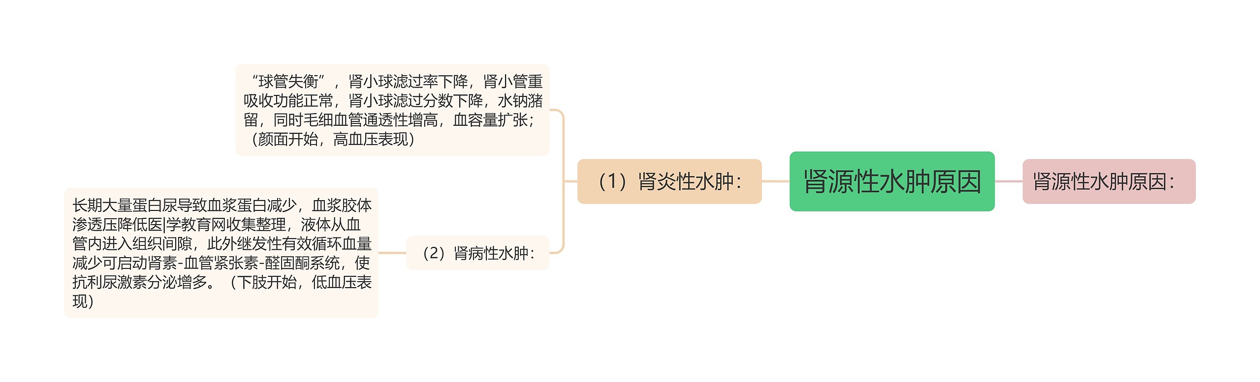 肾源性水肿原因思维导图