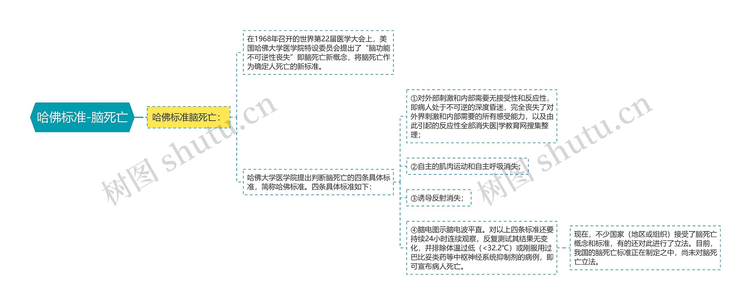 哈佛标准-脑死亡思维导图