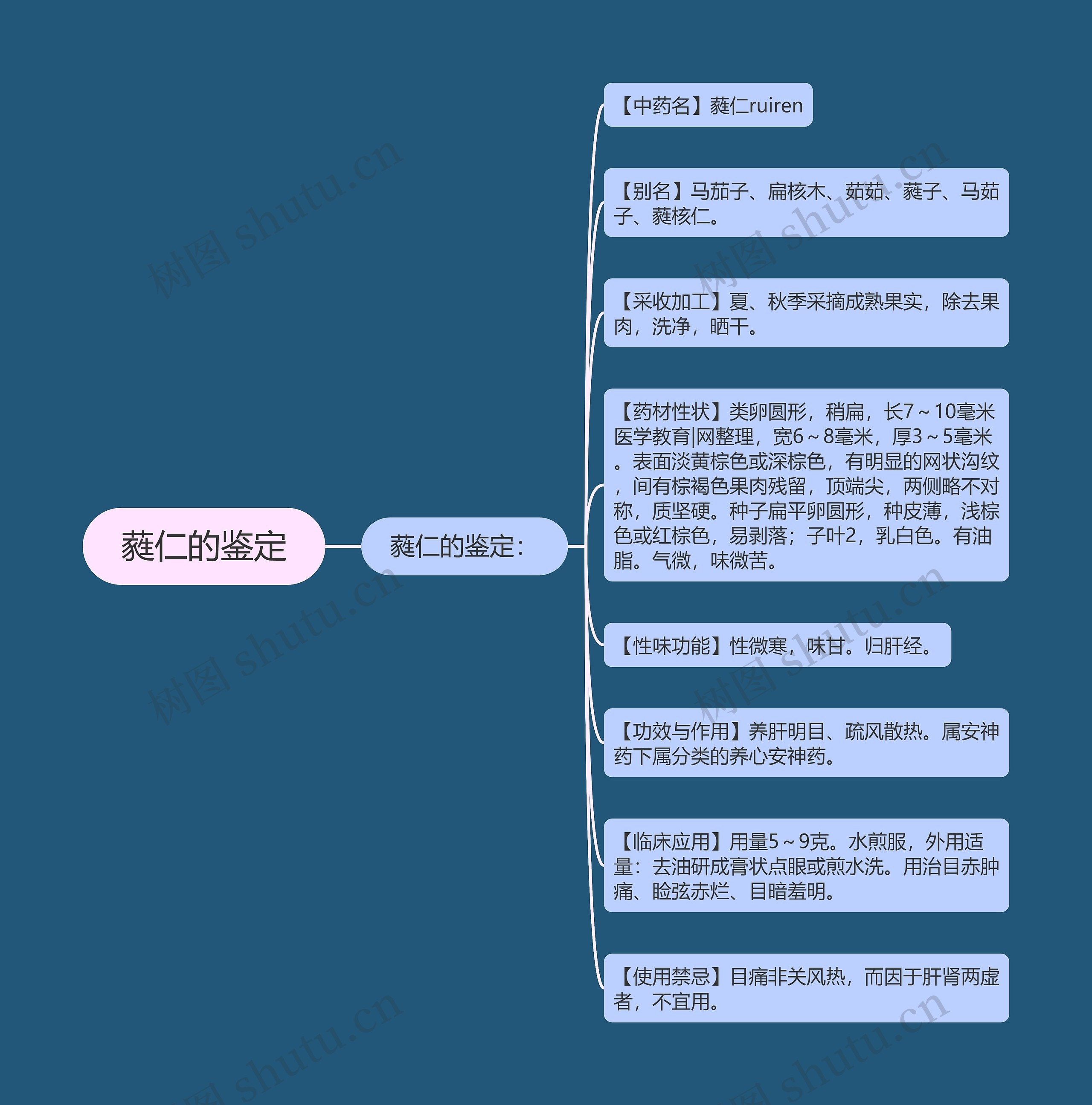 蕤仁的鉴定思维导图