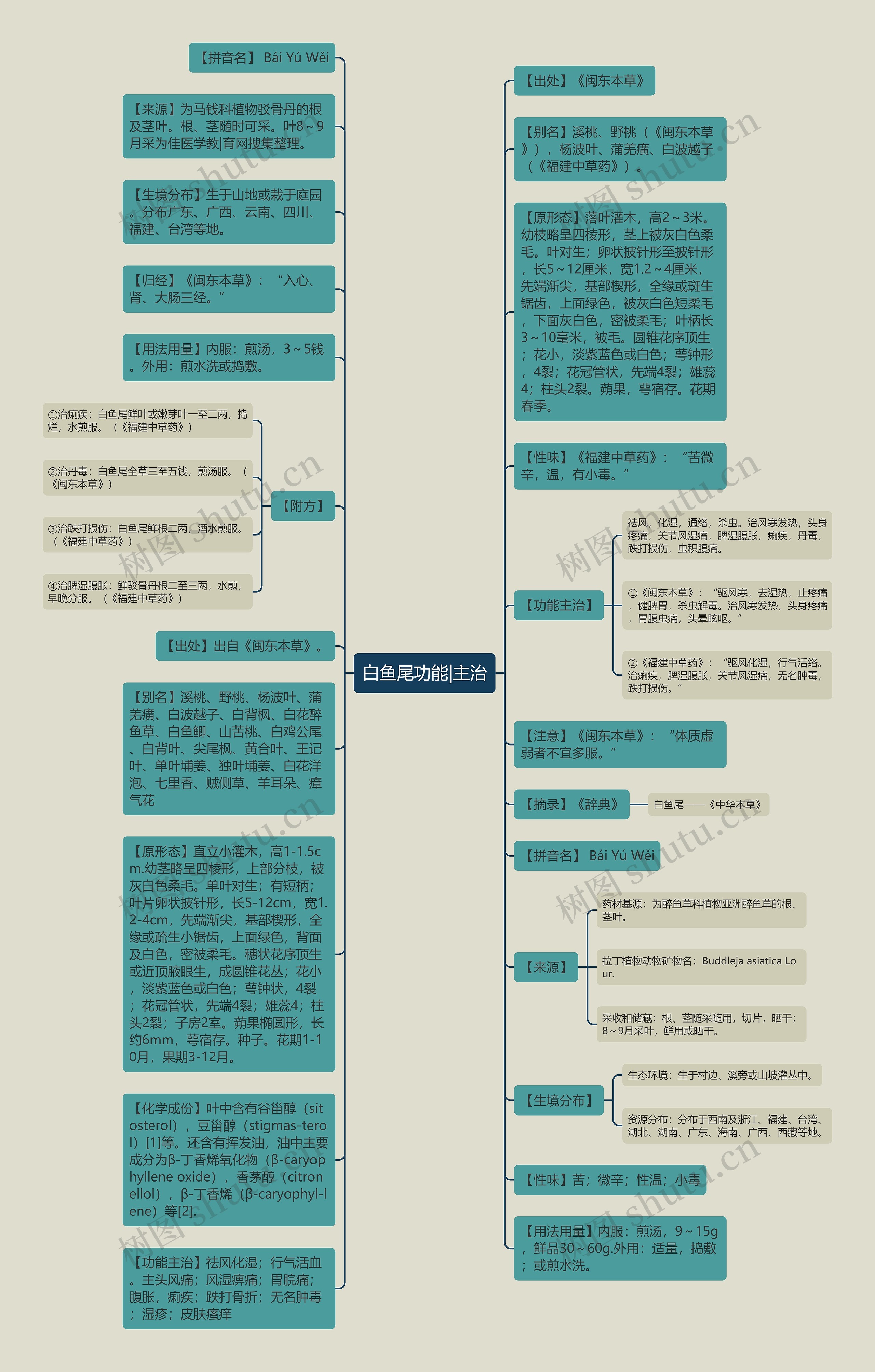 白鱼尾功能|主治思维导图