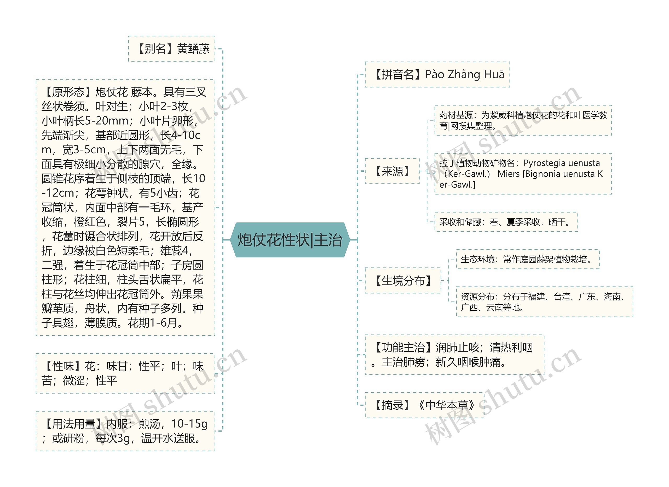 炮仗花性状|主治 炮仗花性状|主治