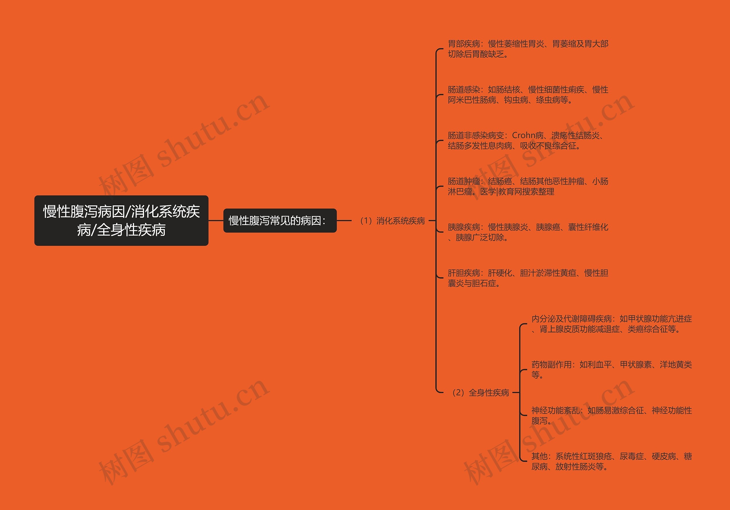 慢性腹泻病因/消化系统疾病/全身性疾病思维导图