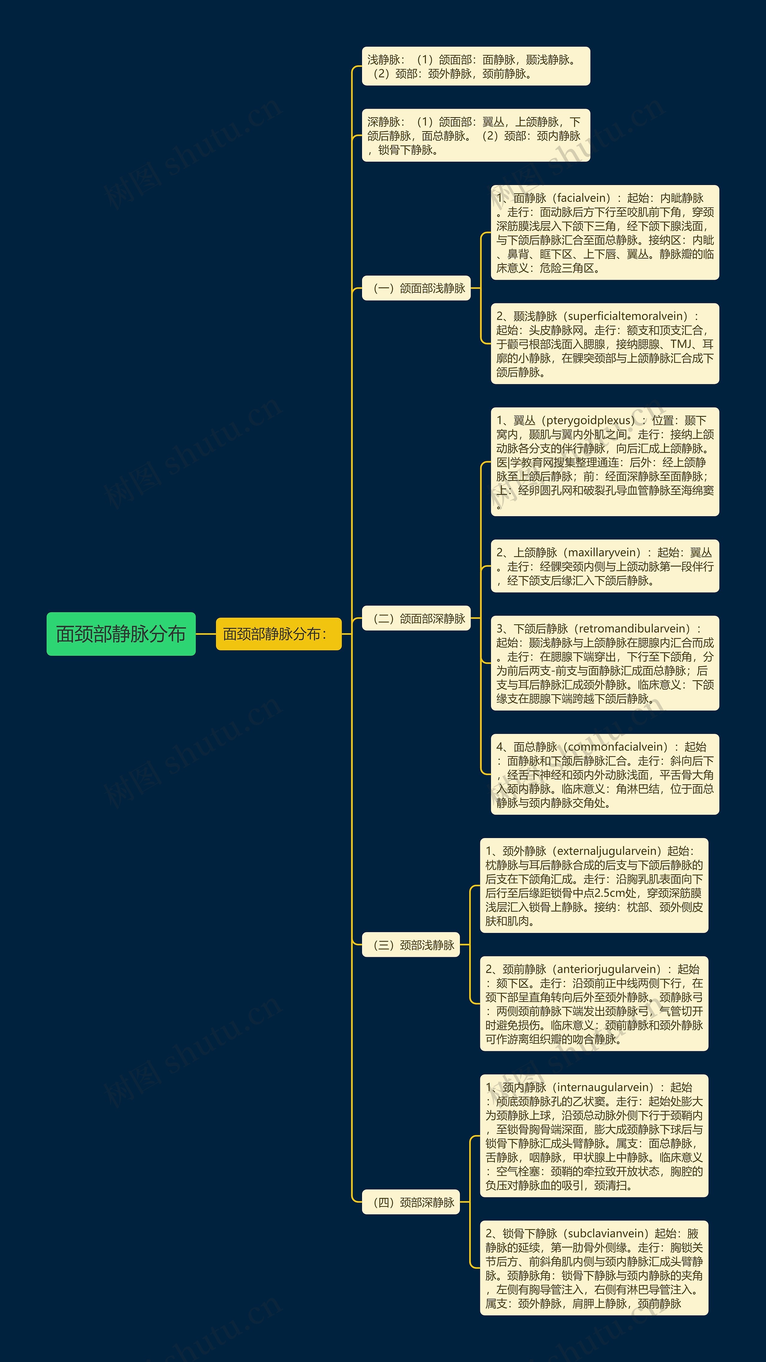 面颈部静脉分布