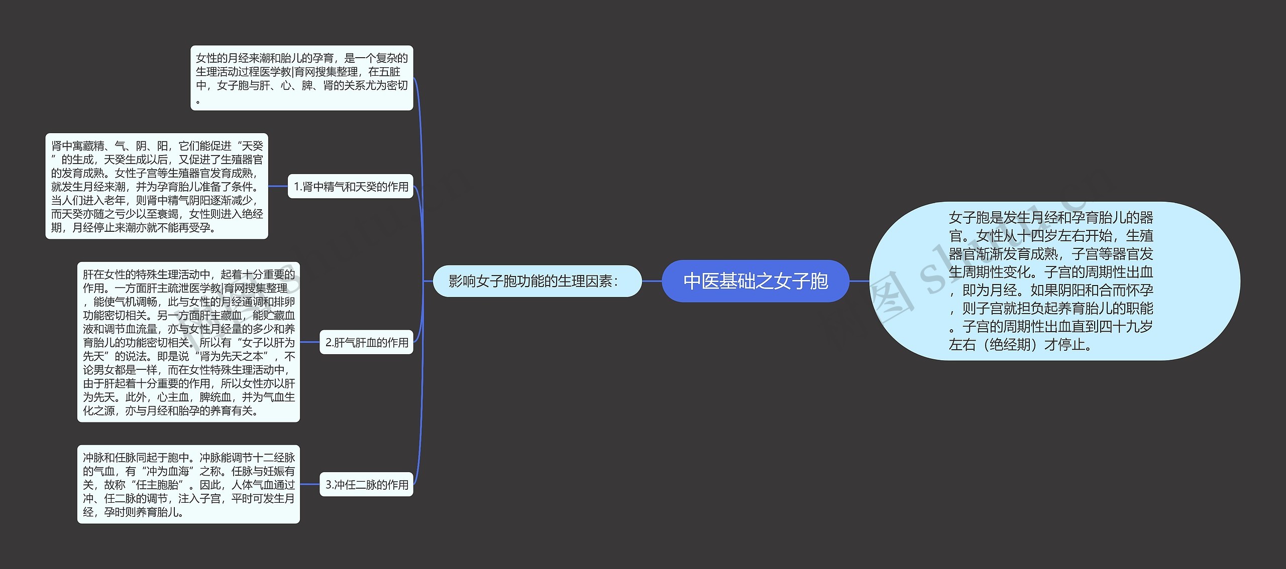 中医基础之女子胞思维导图