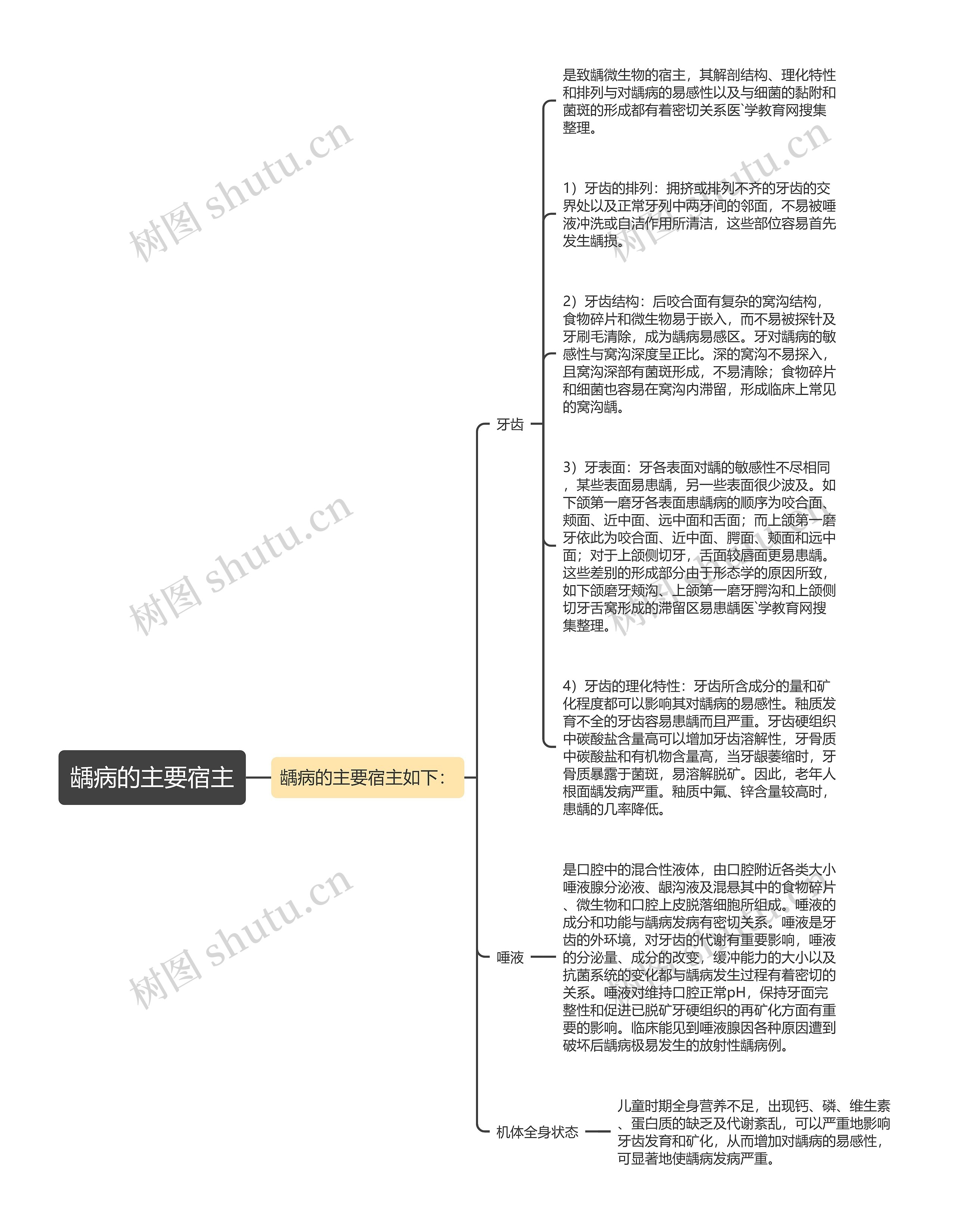 龋病的主要宿主