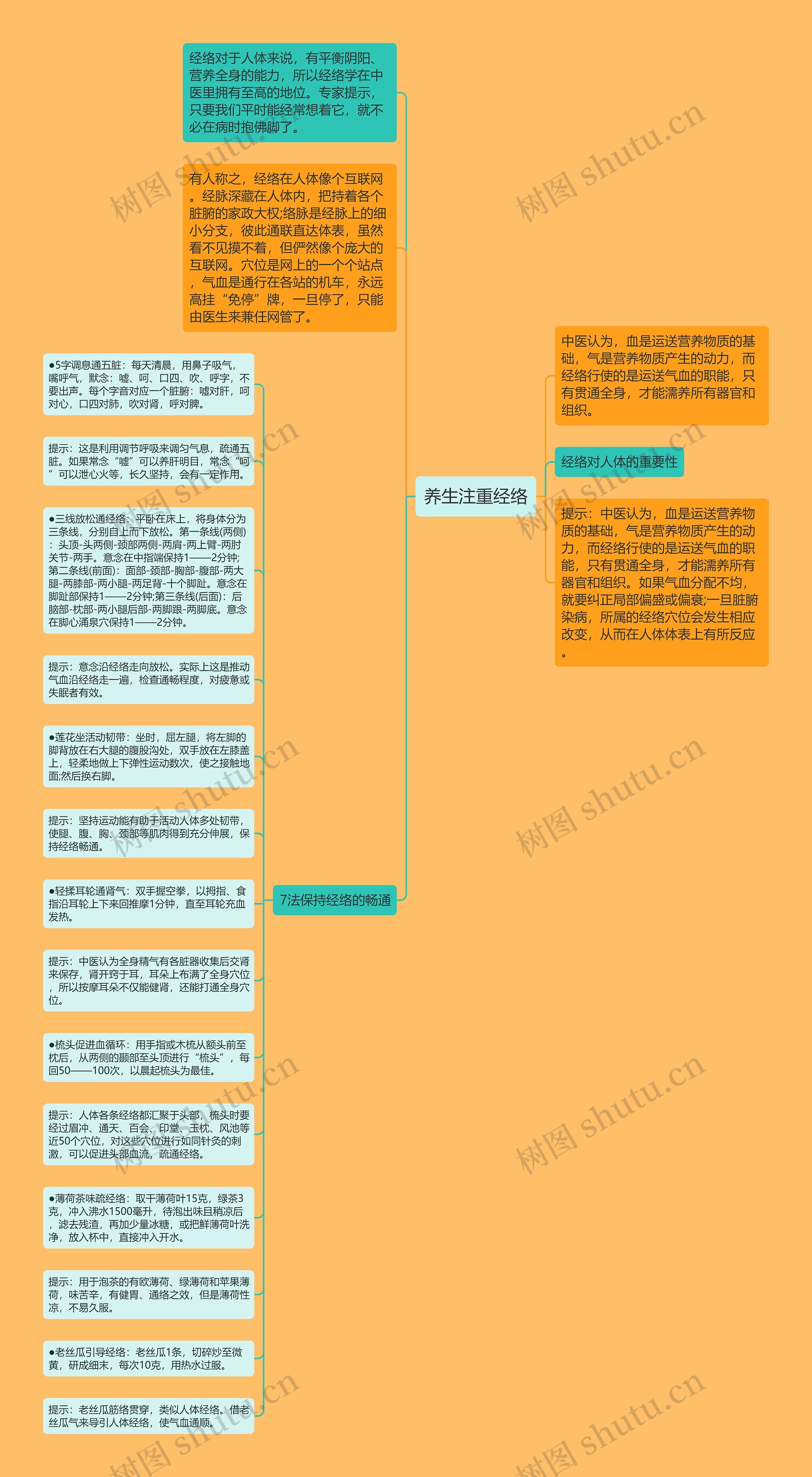 养生注重经络思维导图