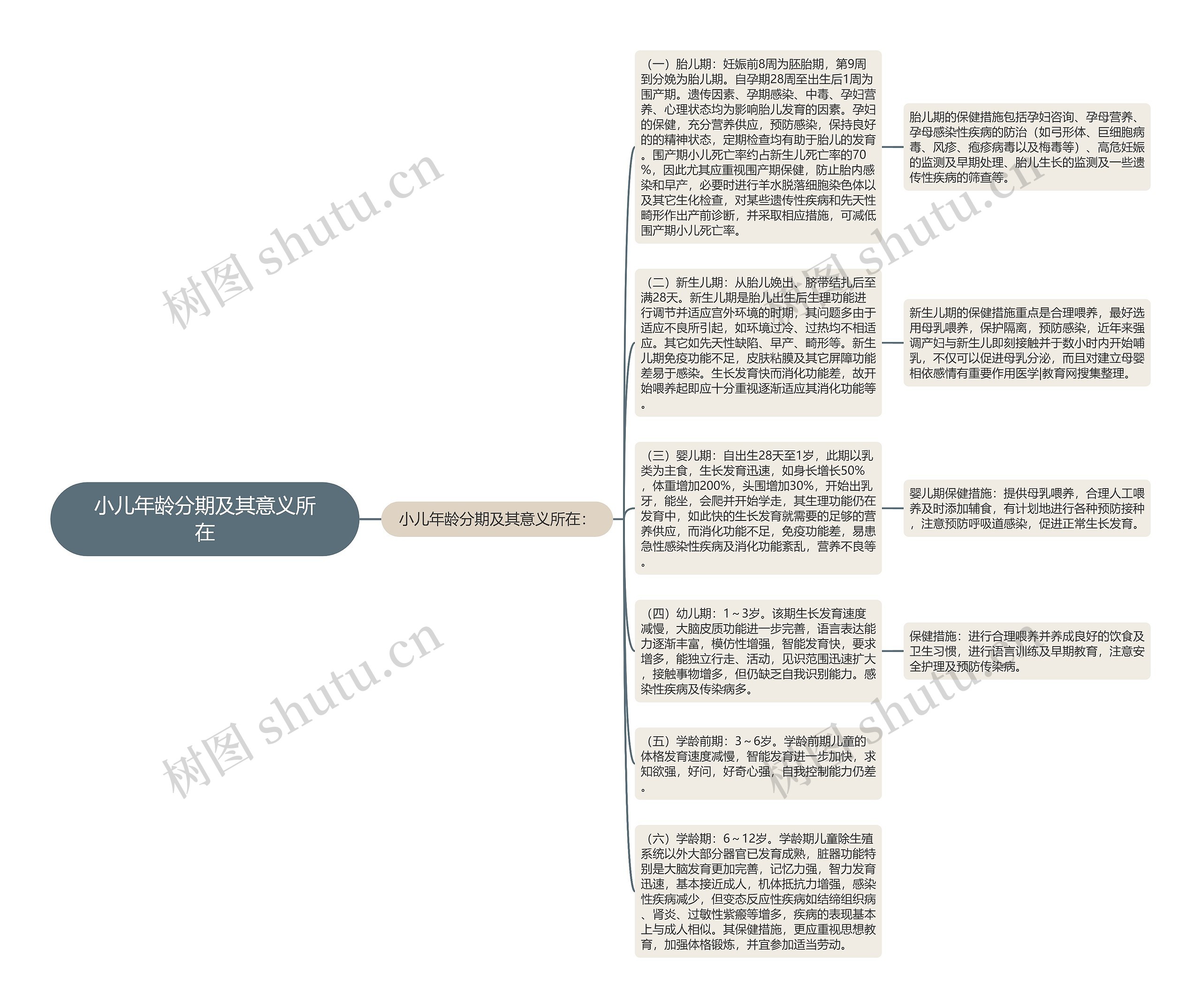 小儿年龄分期及其意义所在思维导图