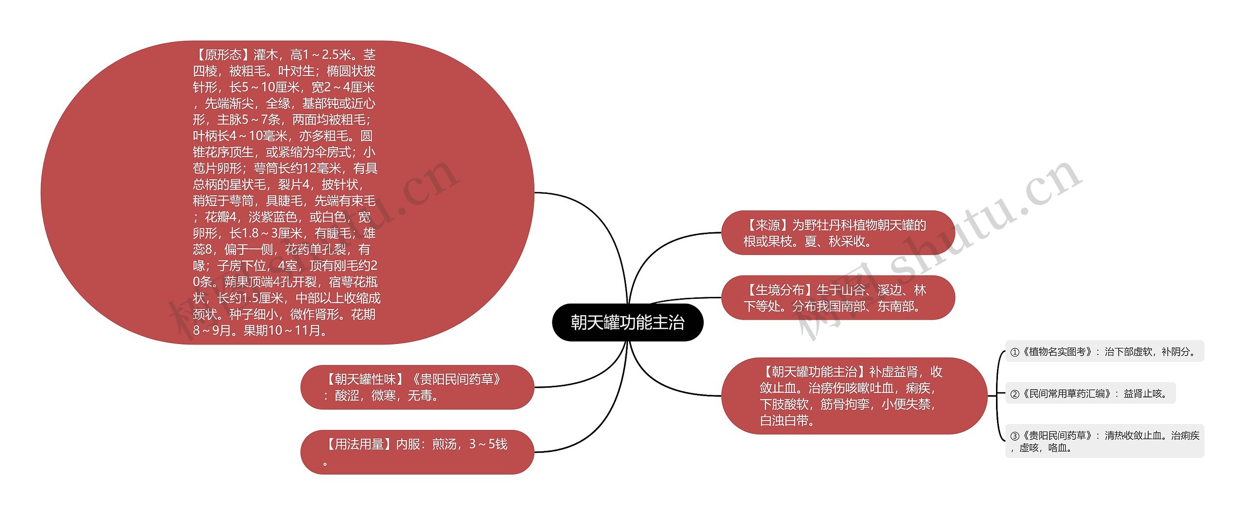 朝天罐功能主治思维导图