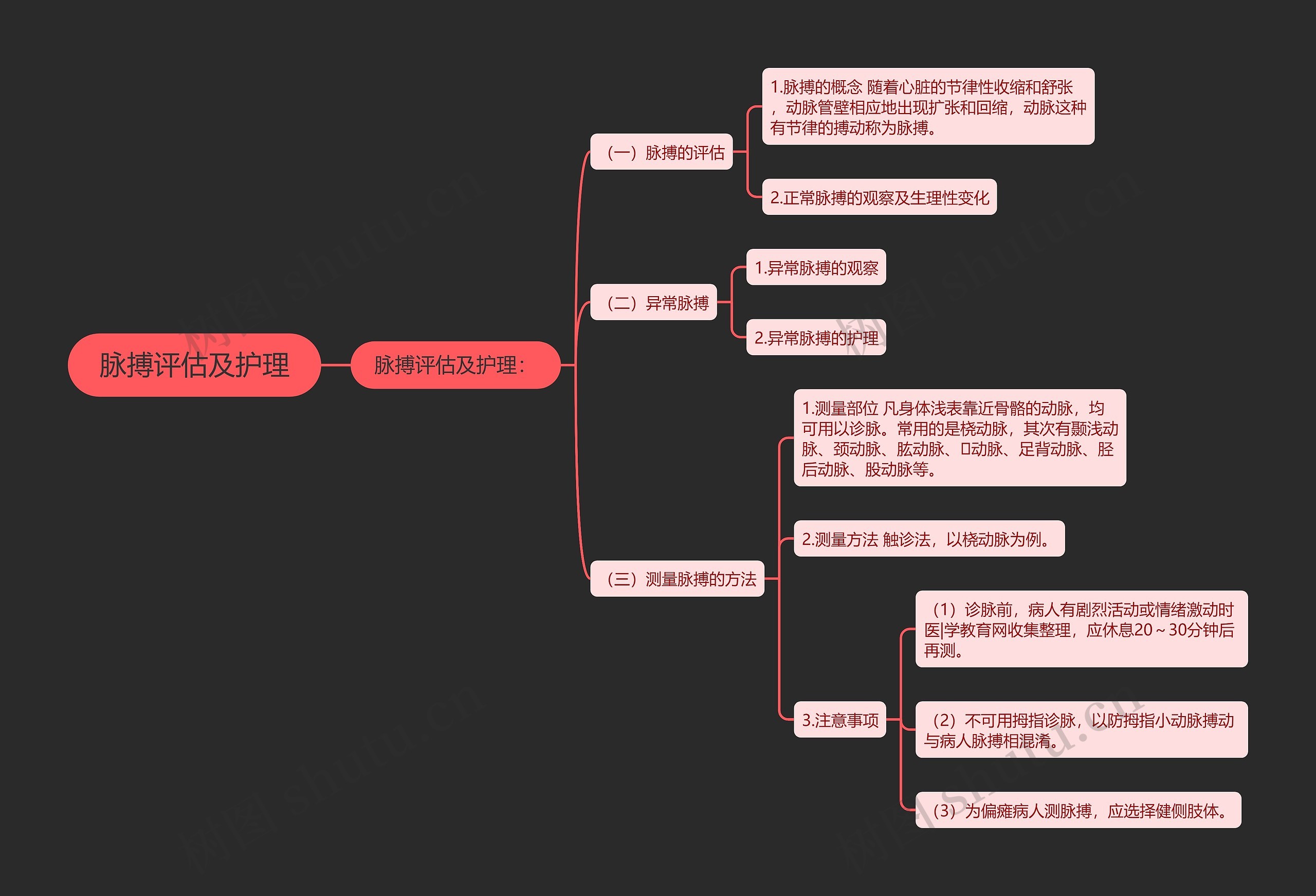 脉搏评估及护理思维导图