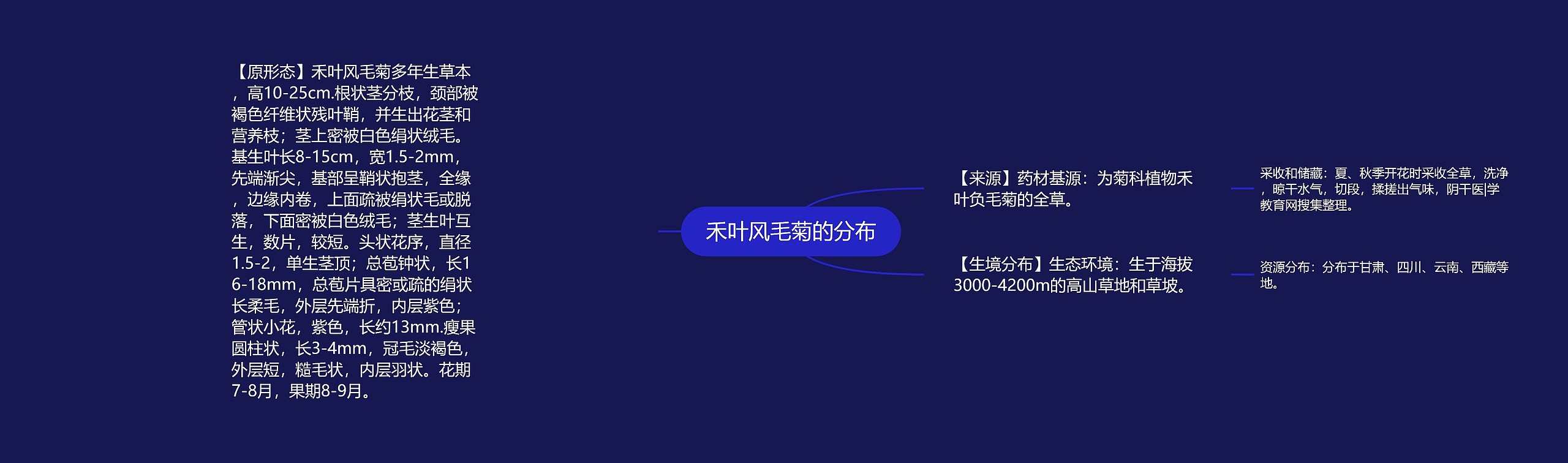 禾叶风毛菊的分布 禾叶风毛菊的分布