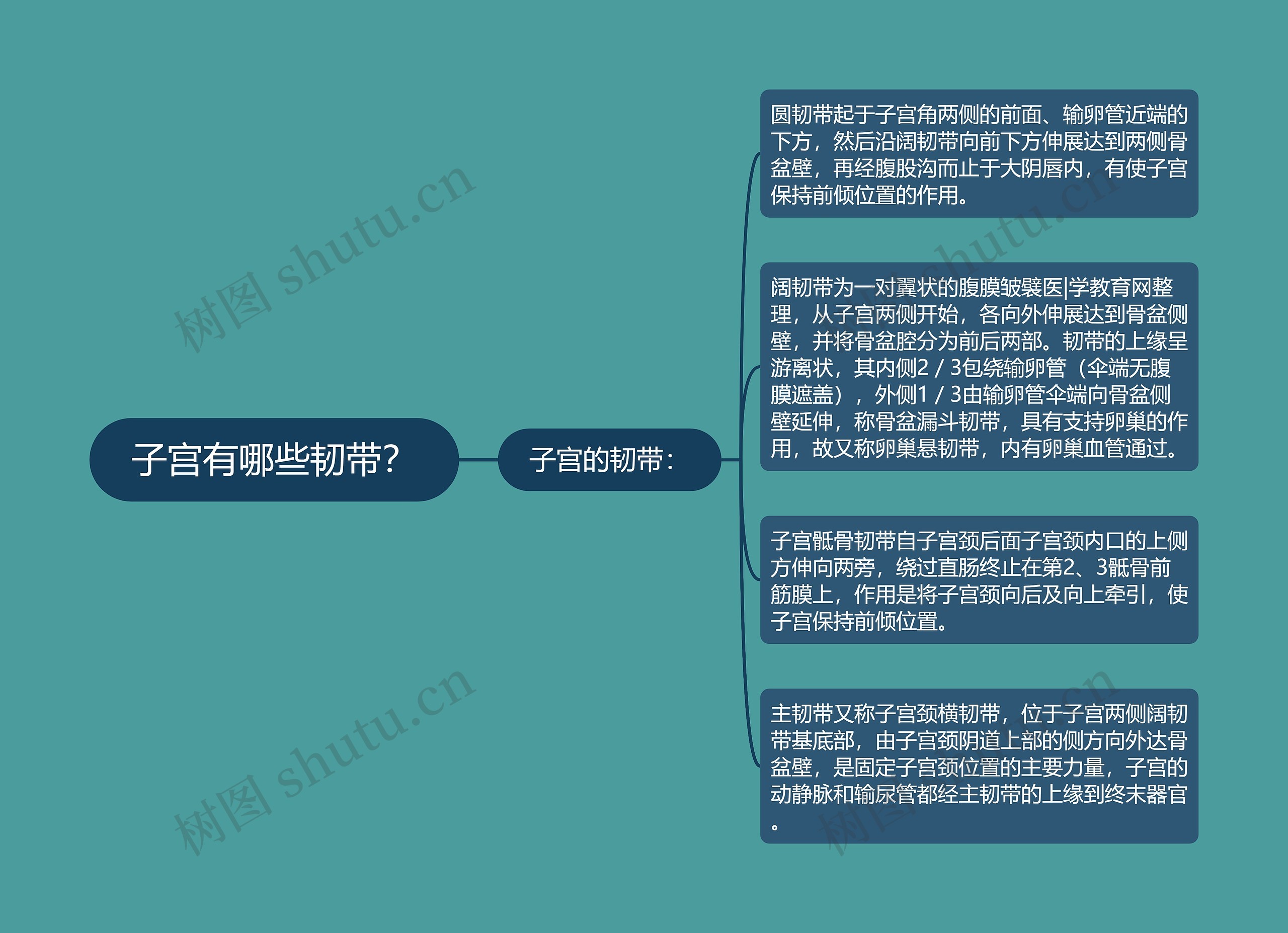 子宫有哪些韧带? 子宫有哪些韧带?