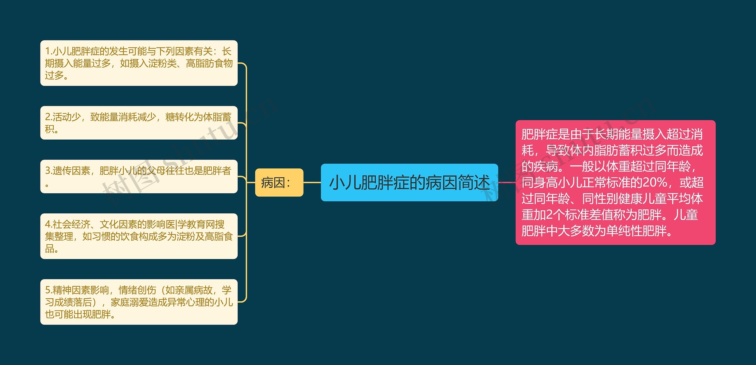 小儿肥胖症的病因简述思维导图