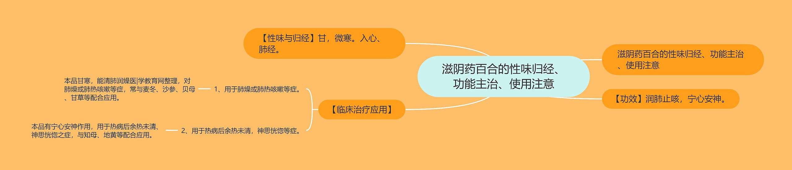 滋阴药百合的性味归经、功能主治、使用注意